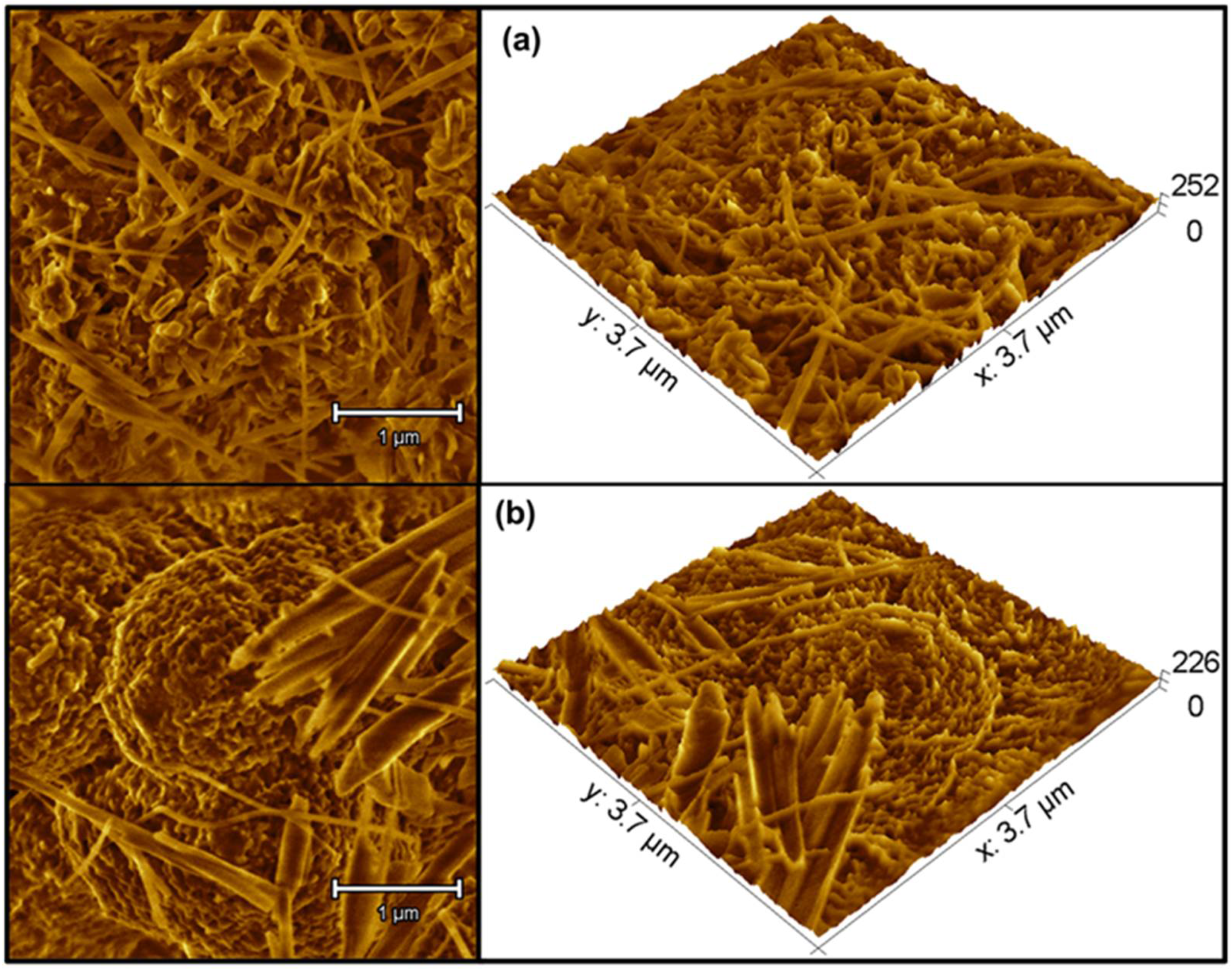Molecules 27 06326 g004