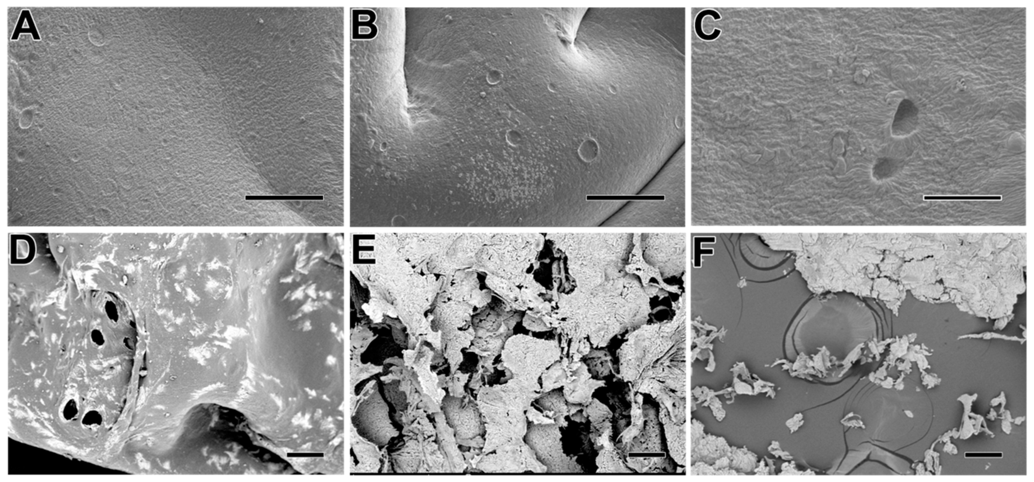 Molecules 27 06361 g002