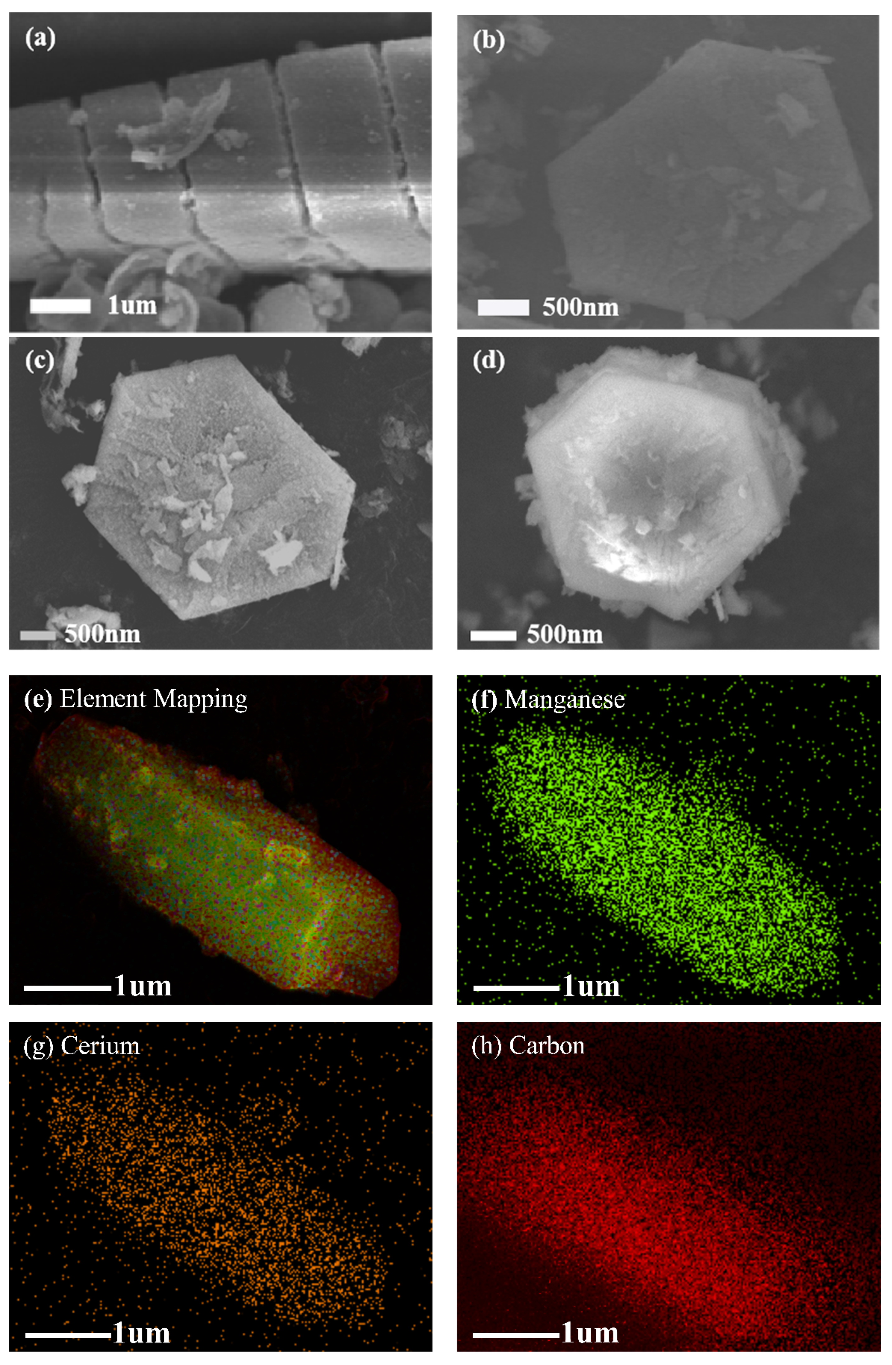 Molecules 27 07363 g002a