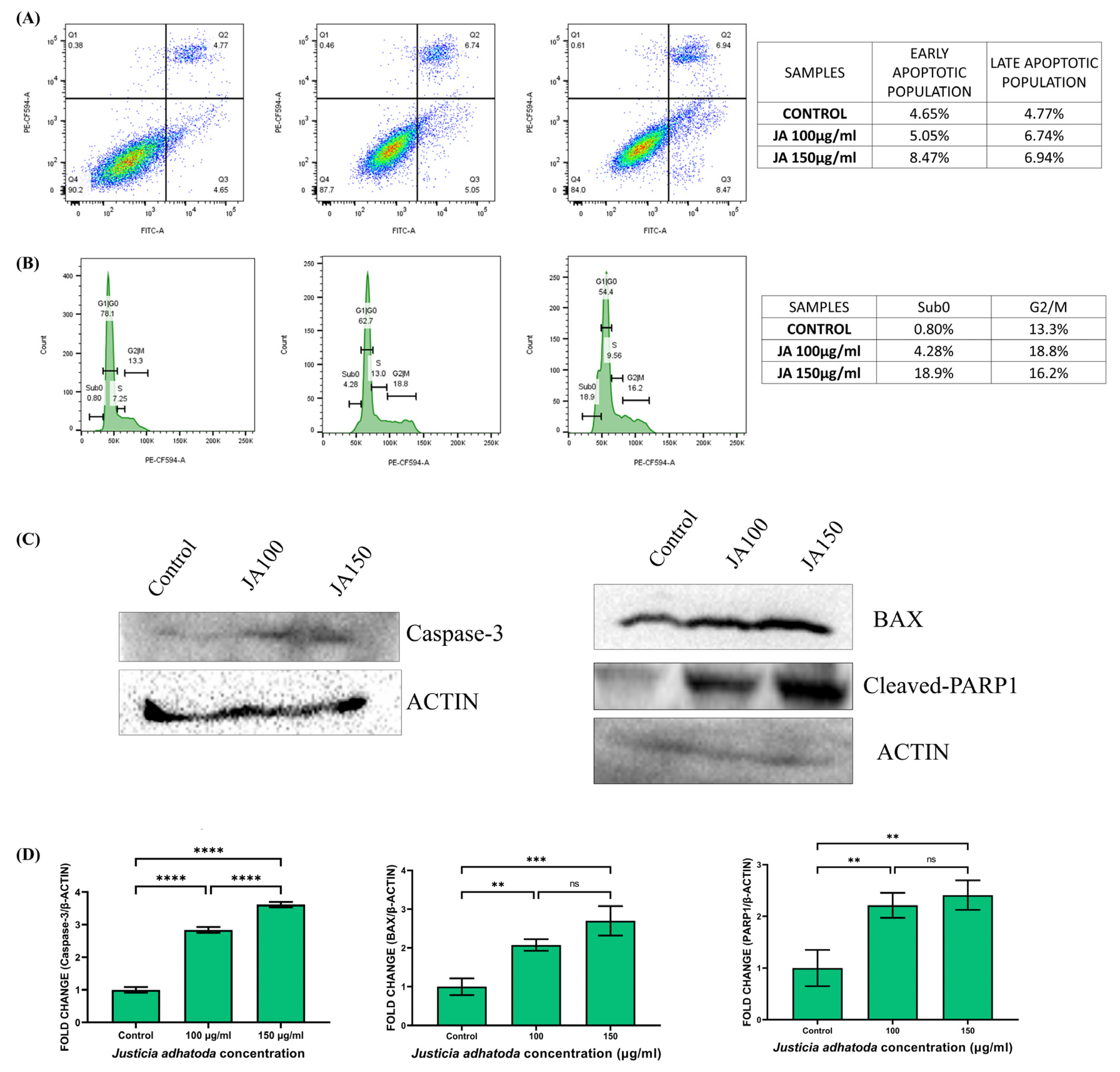 Molecules 27 08222 g006