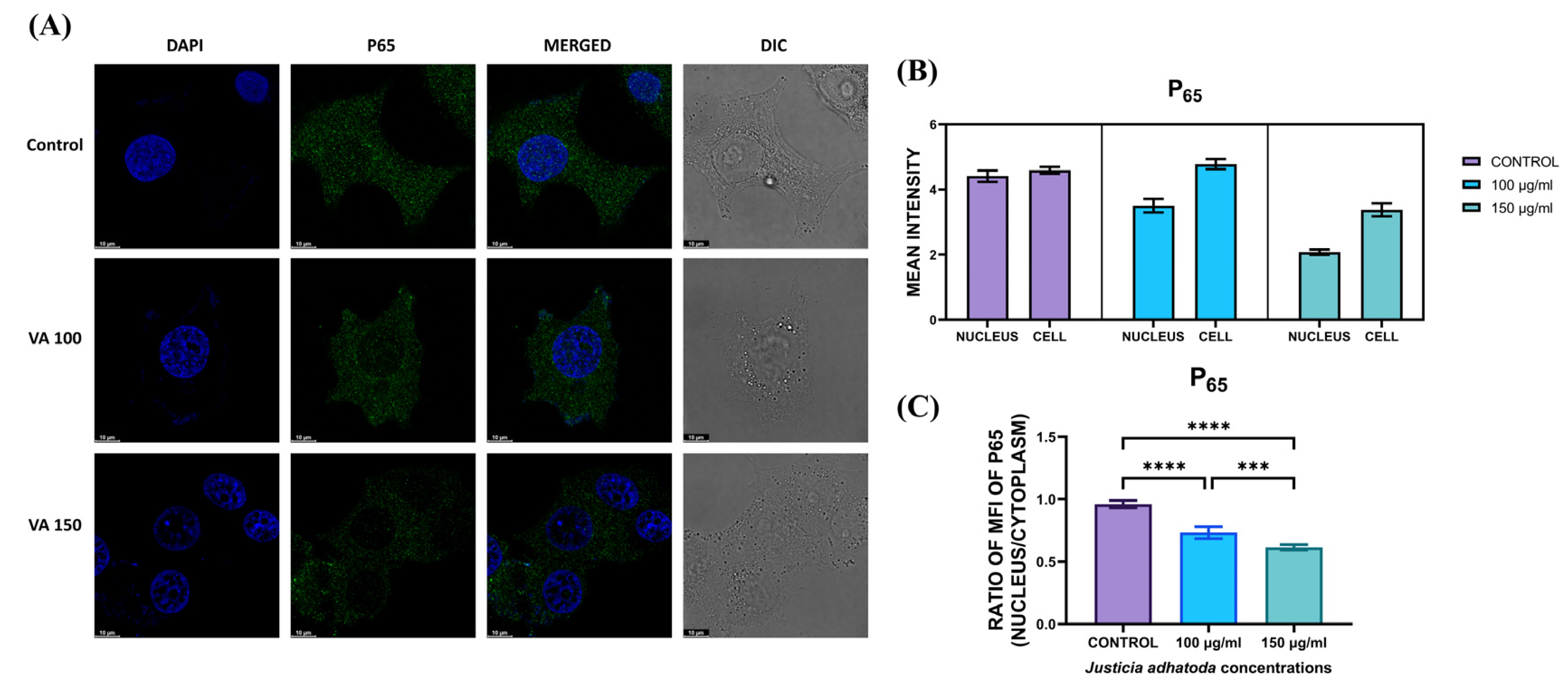 Molecules 27 08222 g008
