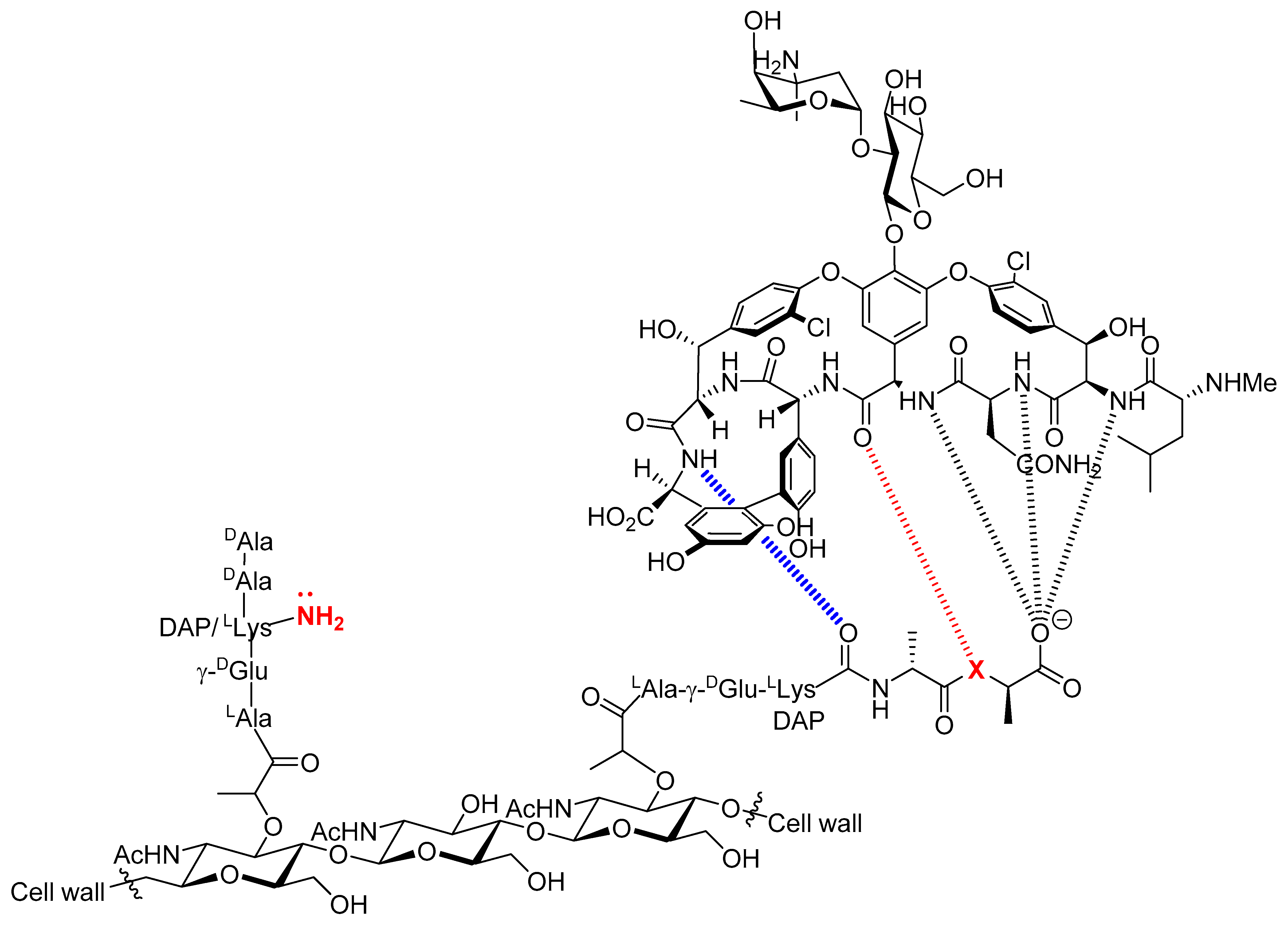 Molecules 27 08927 g001 Molecules 27 08927 g001