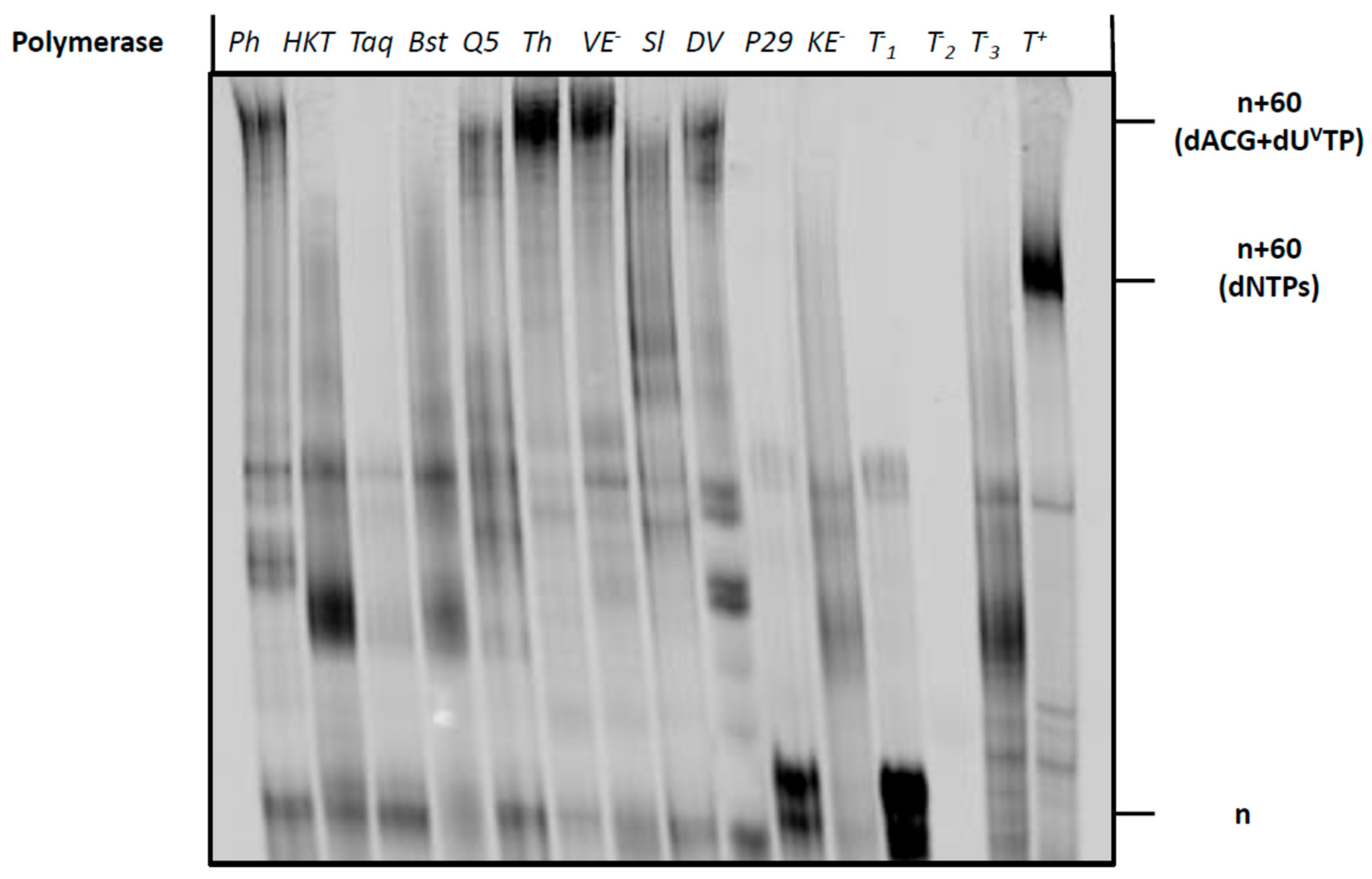 Molecules 27 08927 g005 Molecules 27 08927 g005