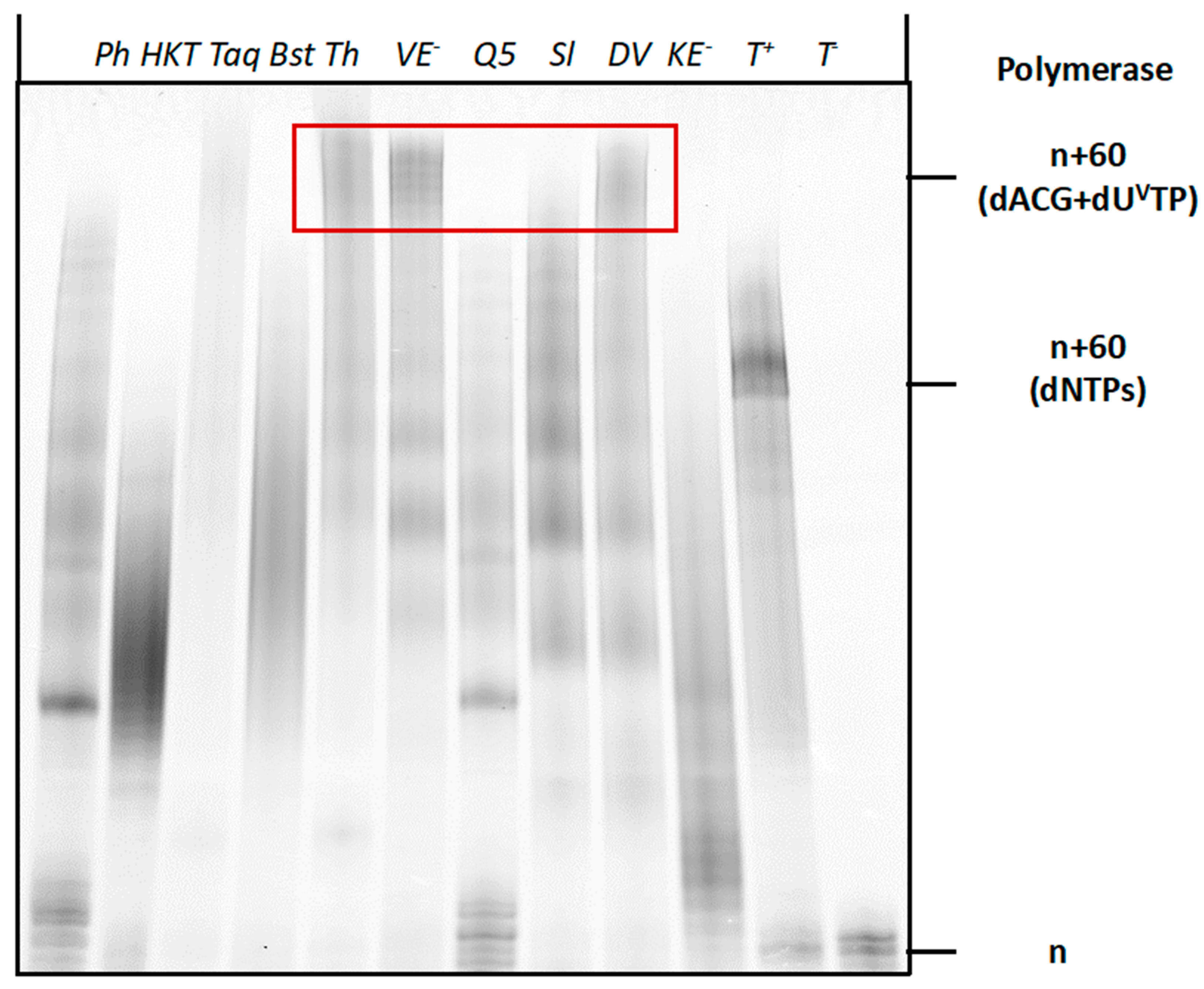 Molecules 27 08927 g006 Molecules 27 08927 g006