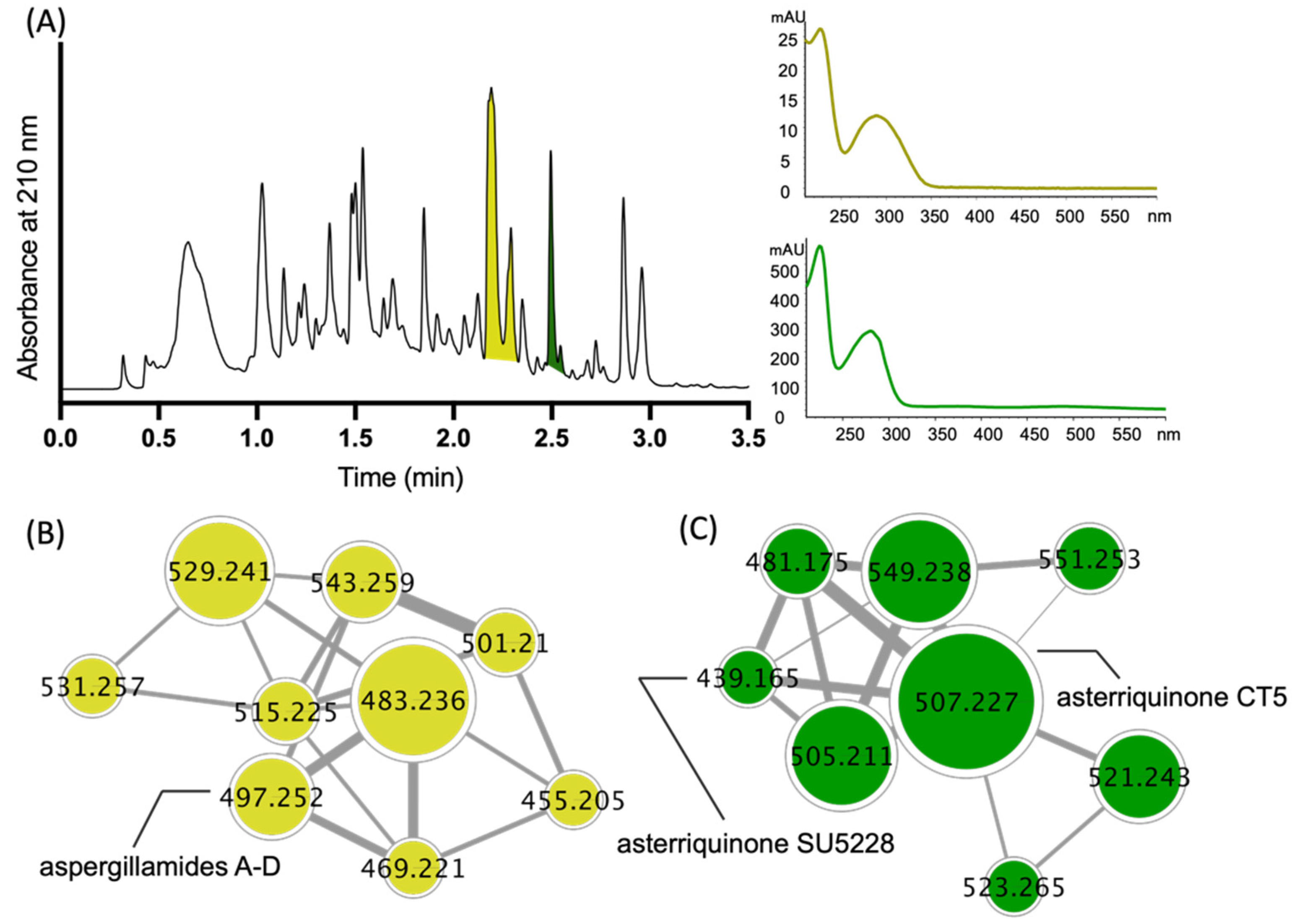 Molecules 27 09066 g002