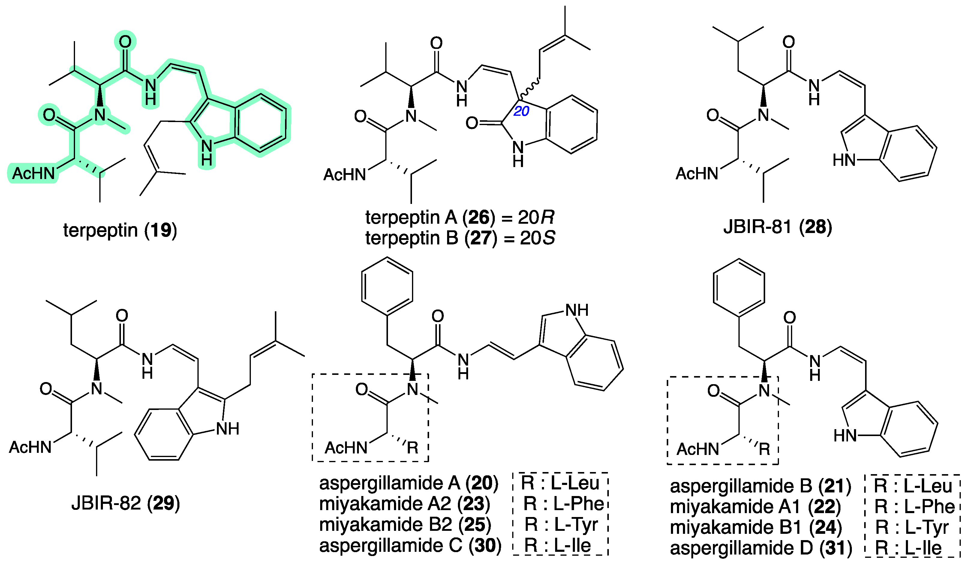 Molecules 27 09066 g005