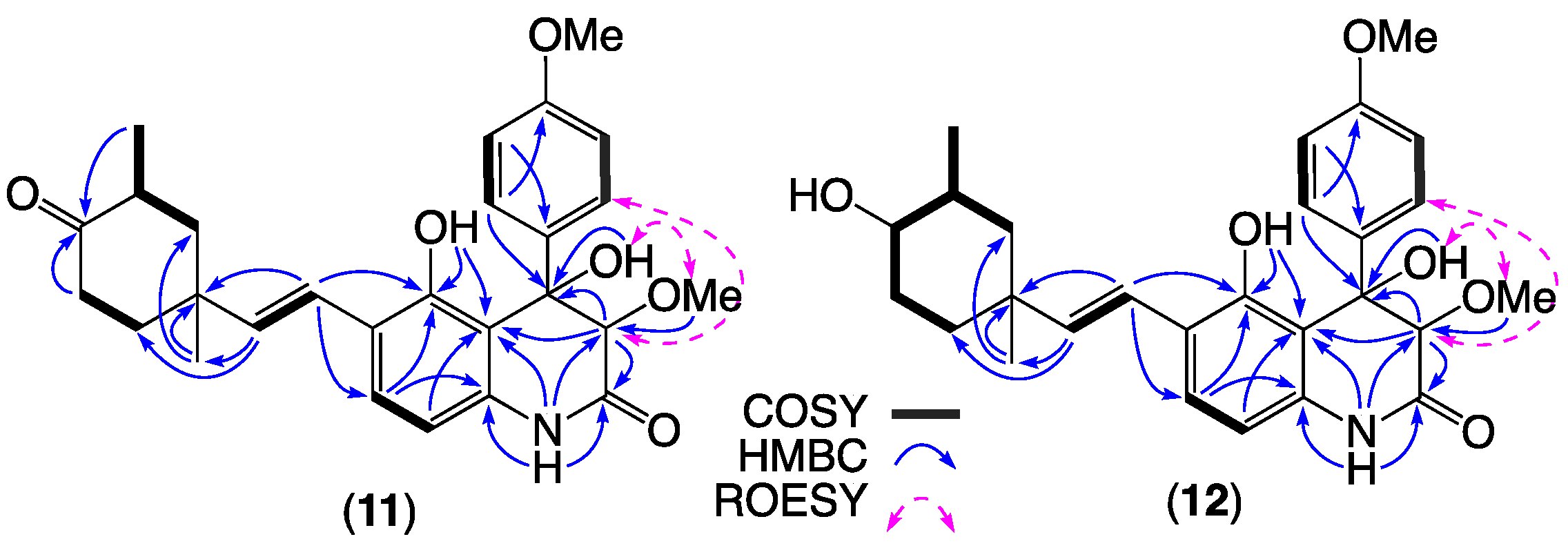 Molecules 27 09066 g007