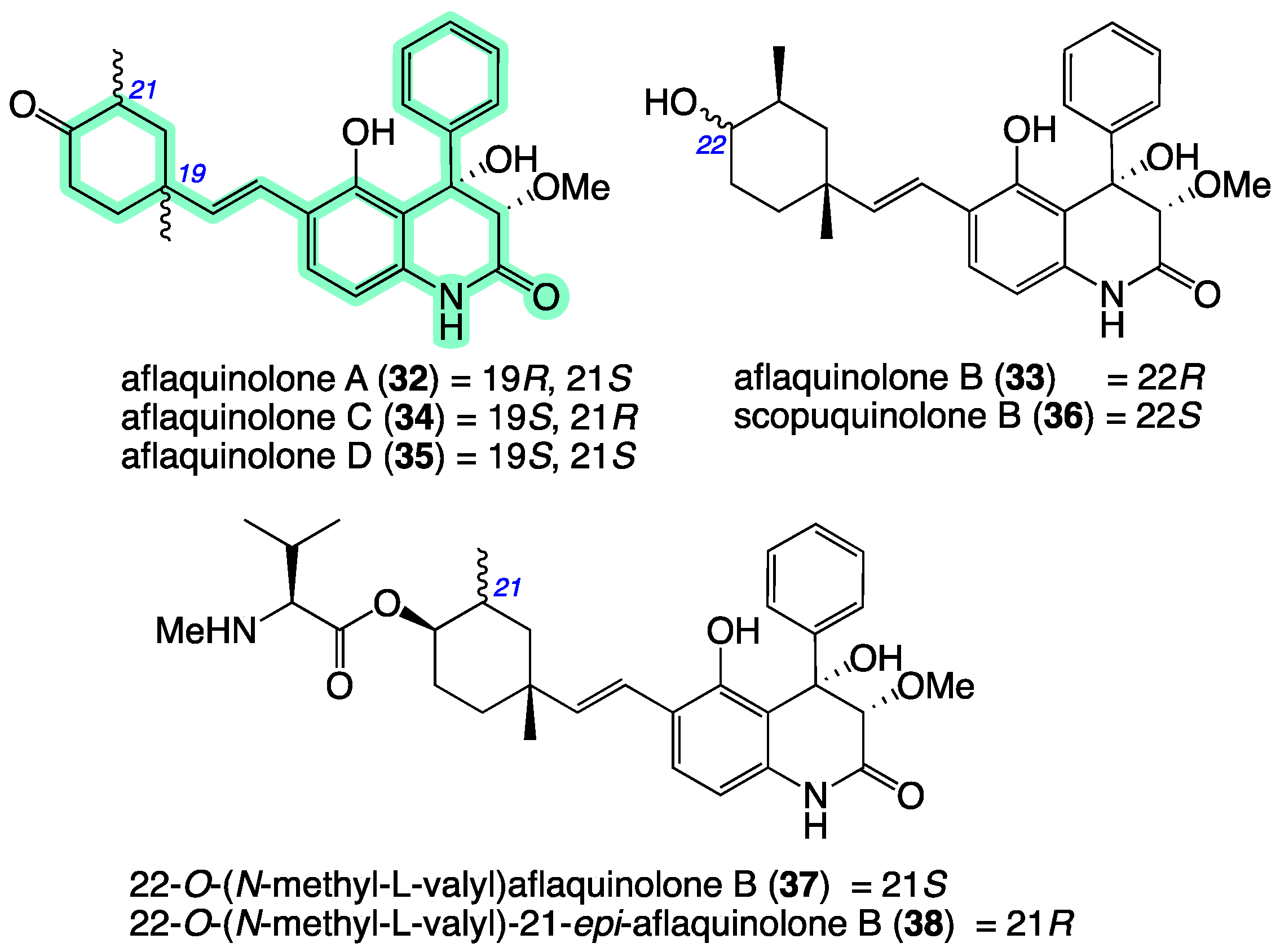 Molecules 27 09066 g009