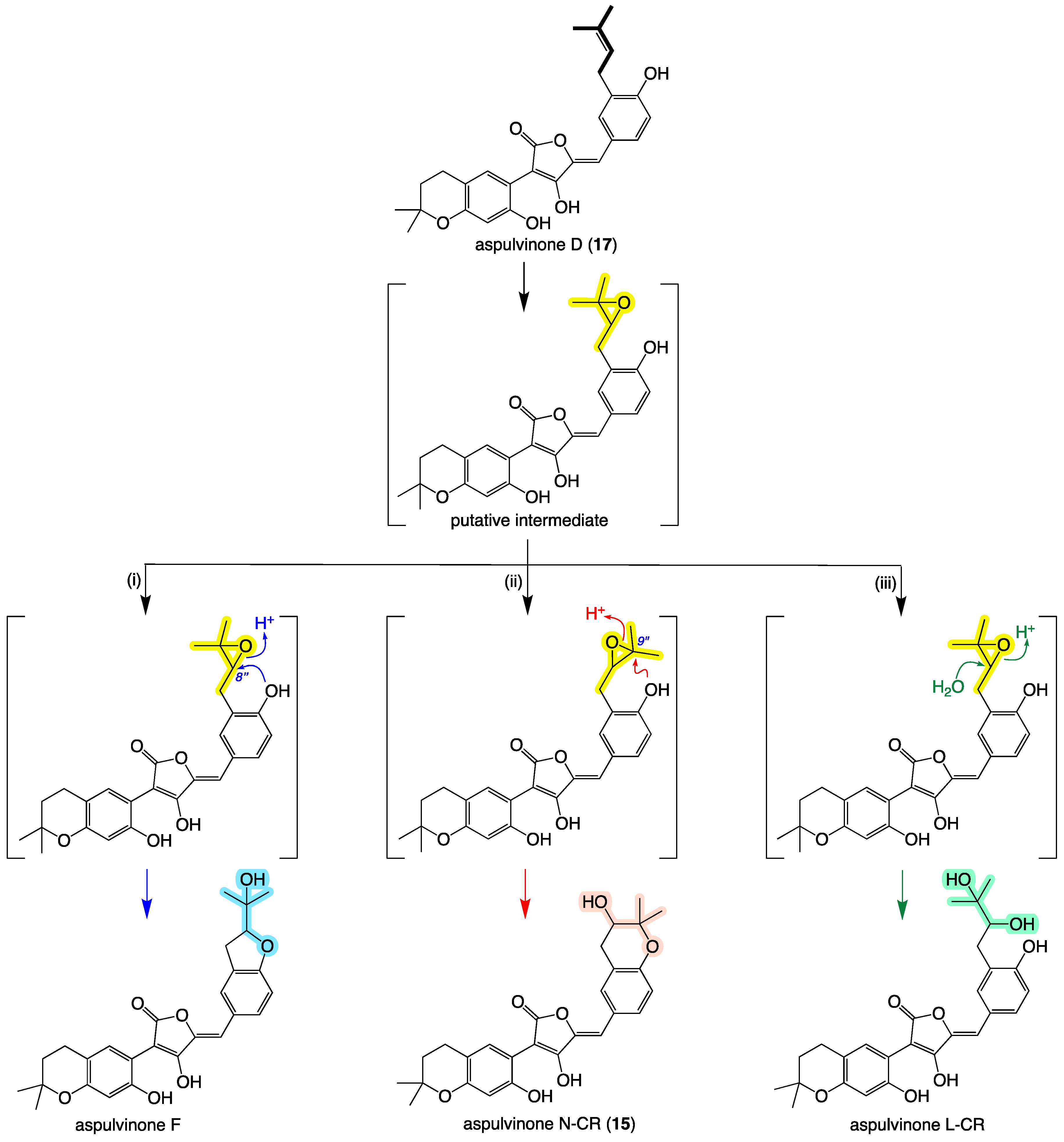 Molecules 27 09066 g012