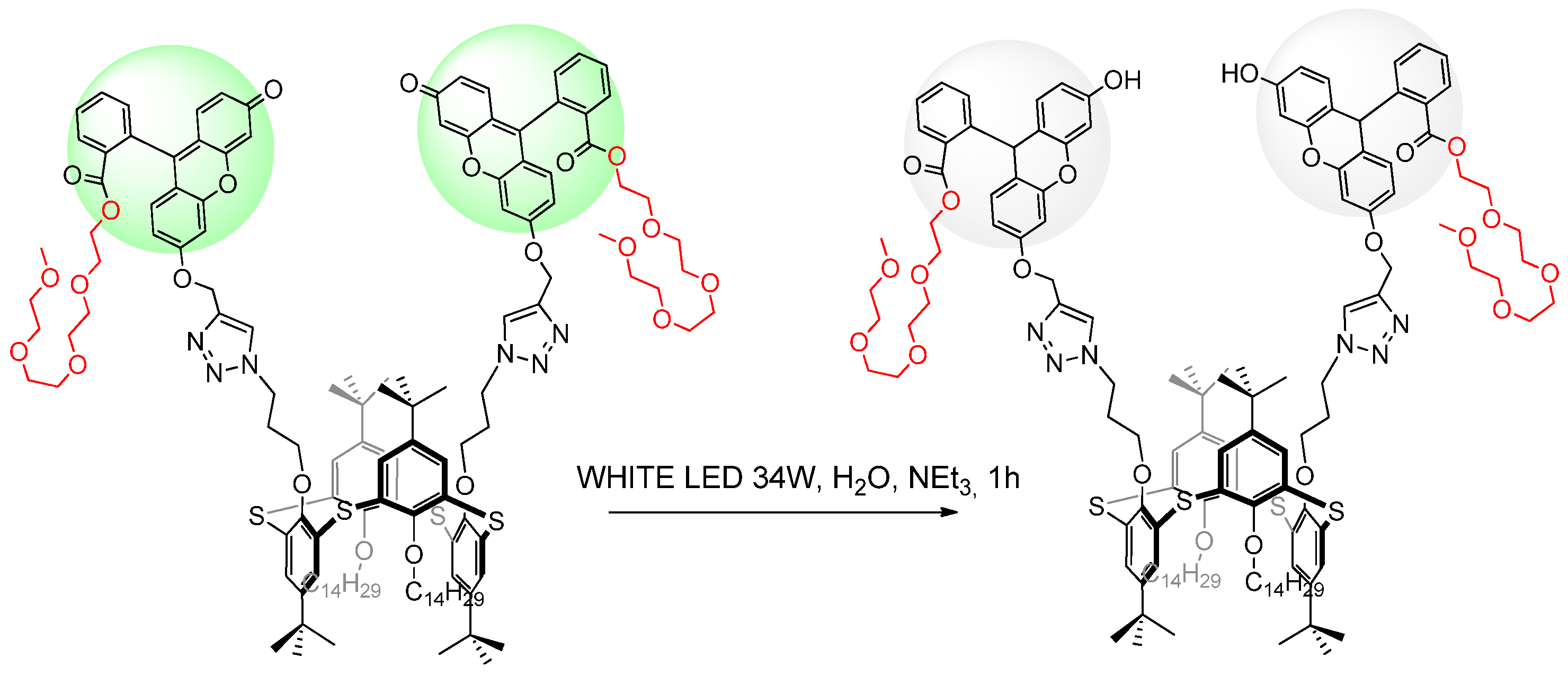 Molecules 28 00261 sch005