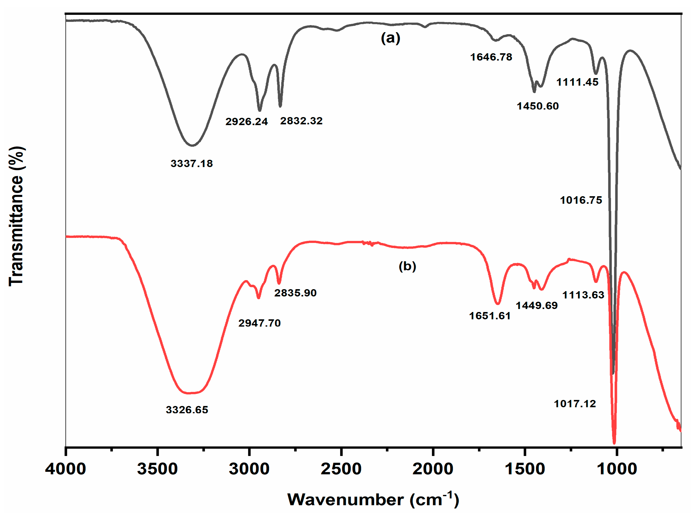 Molecules 28 00951 g006