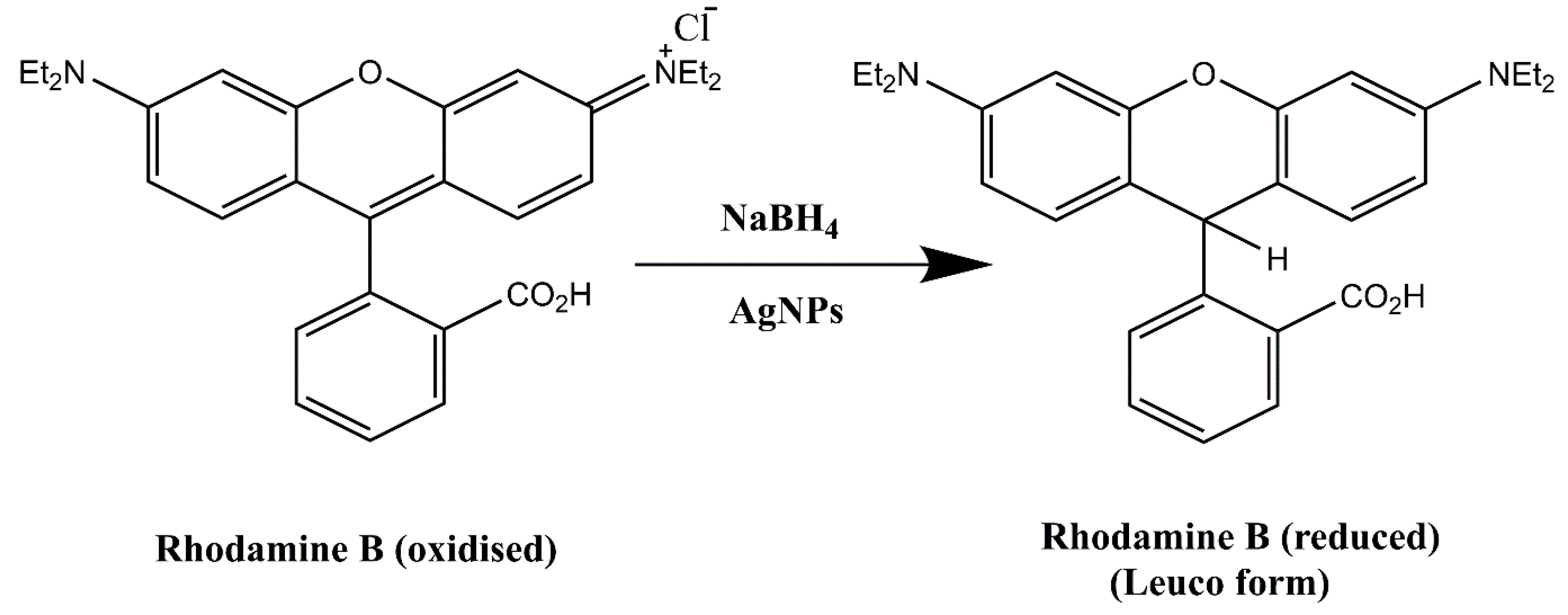 Molecules 28 00951 g013