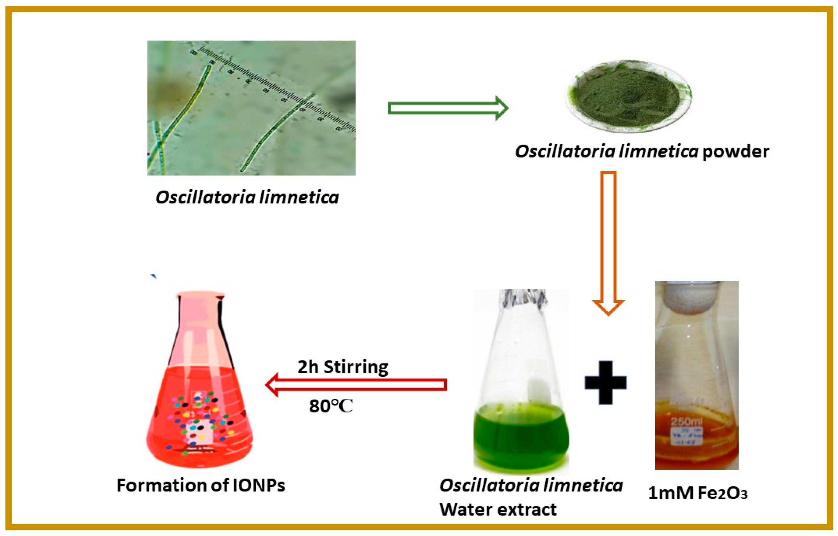 Molecules 28 02091 g001
