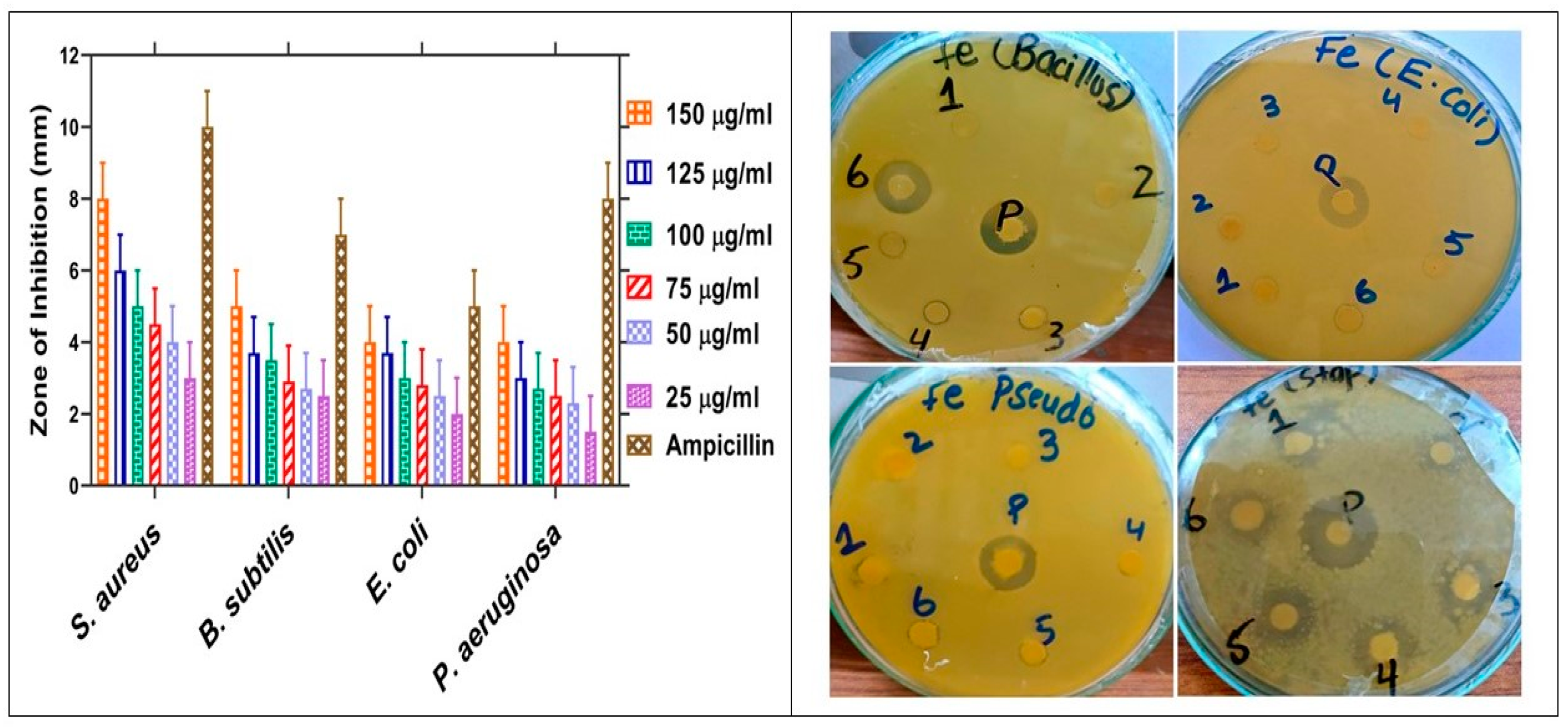 Molecules 28 02091 g007