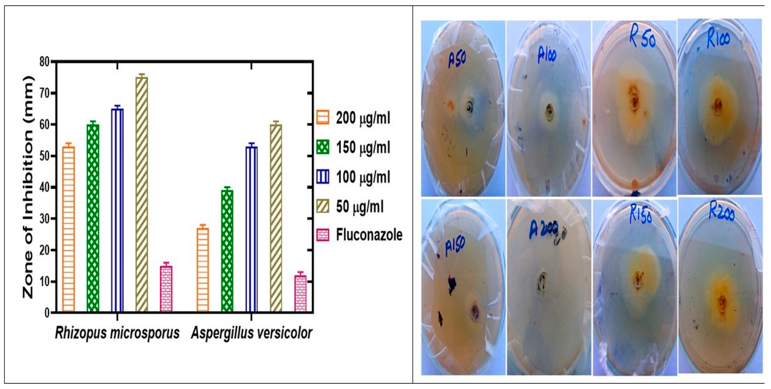 Molecules 28 02091 g008