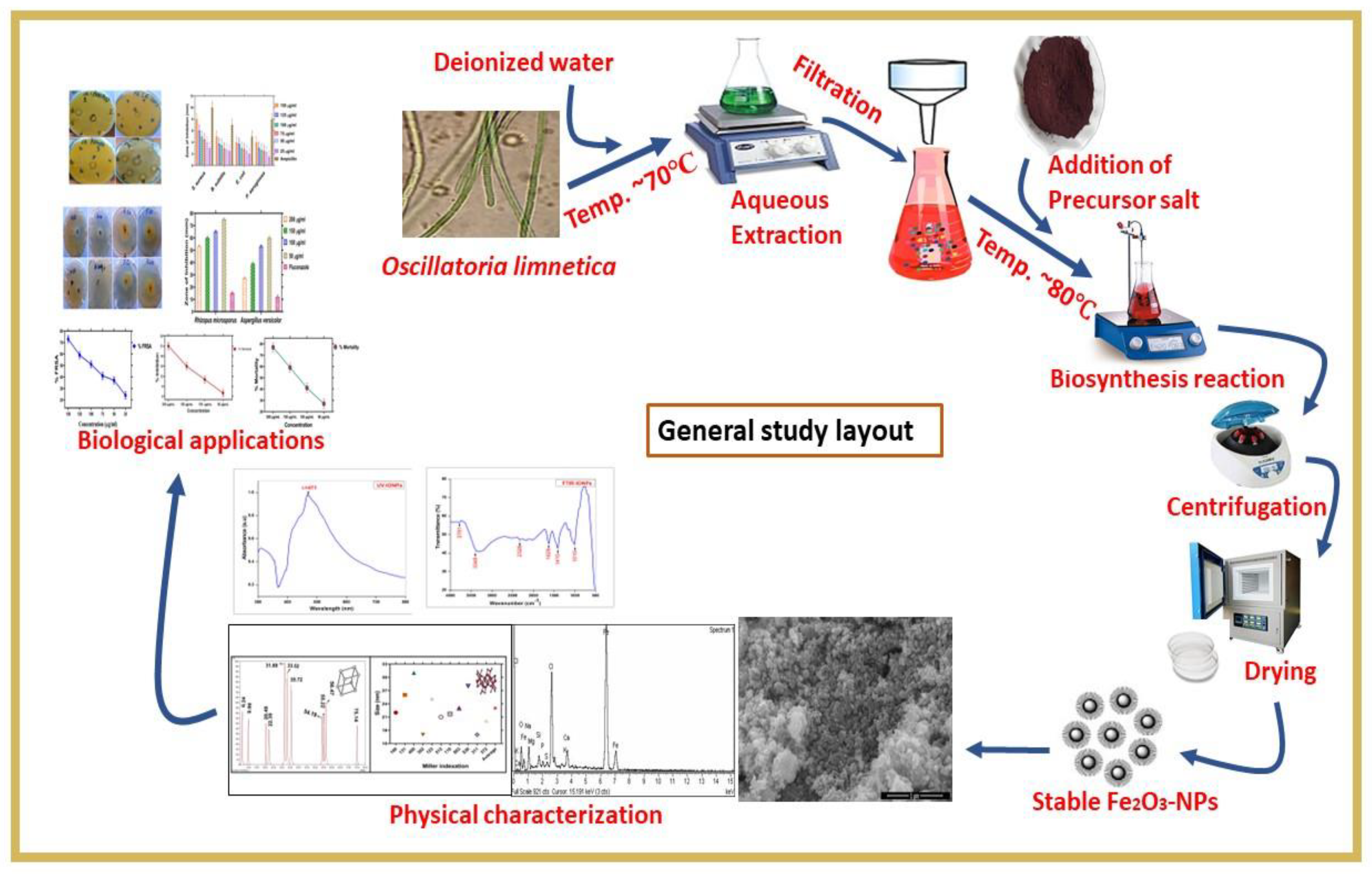 Molecules 28 02091 g012