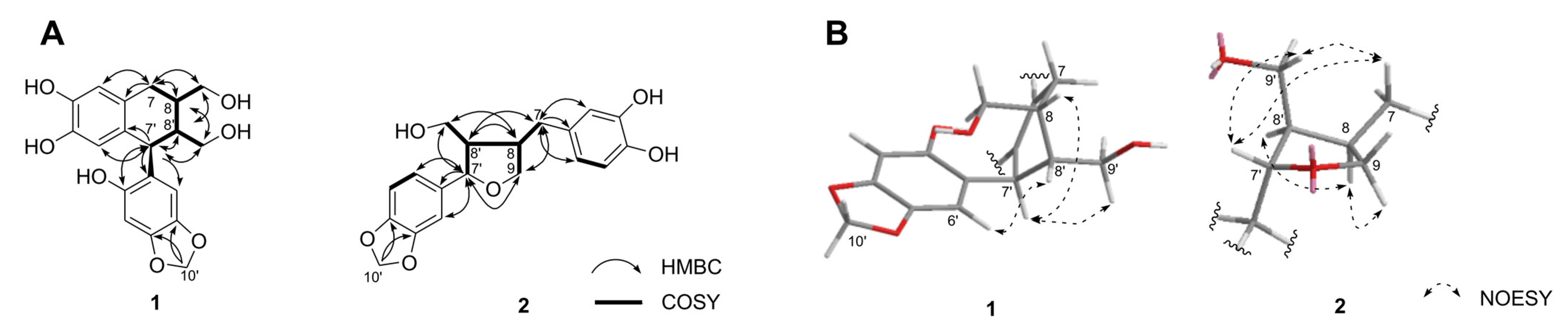 Molecules 28 02255 g002