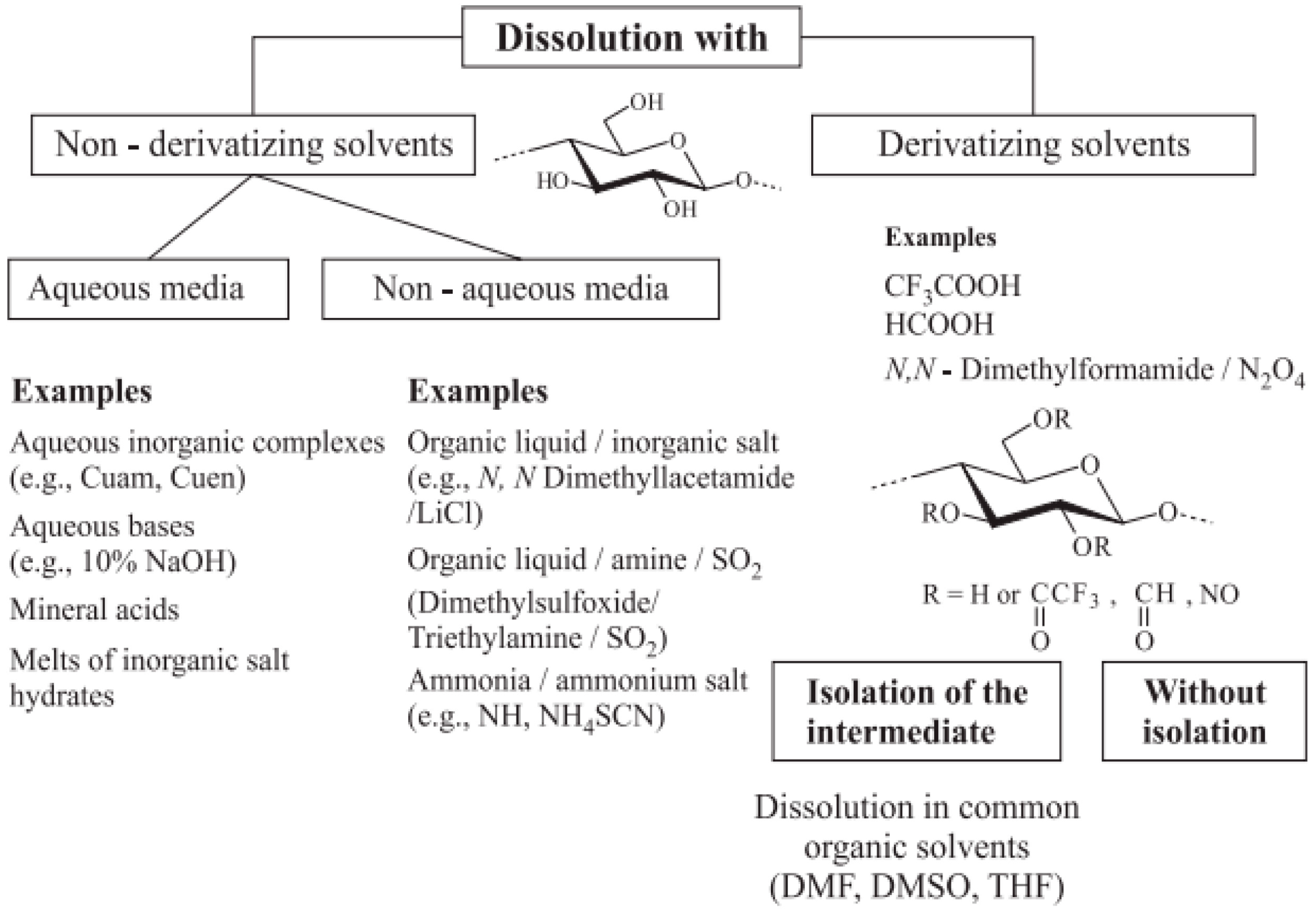 Molecules 28 04216 g001
