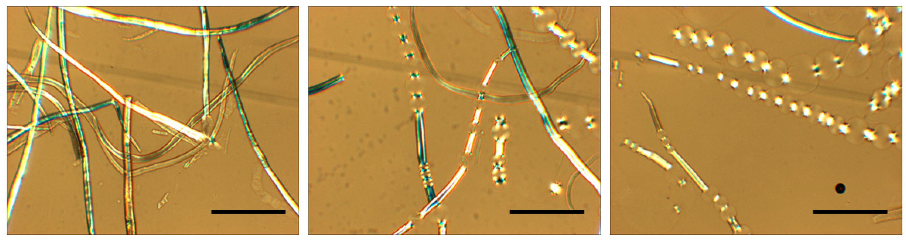 Molecules 28 04216 g002