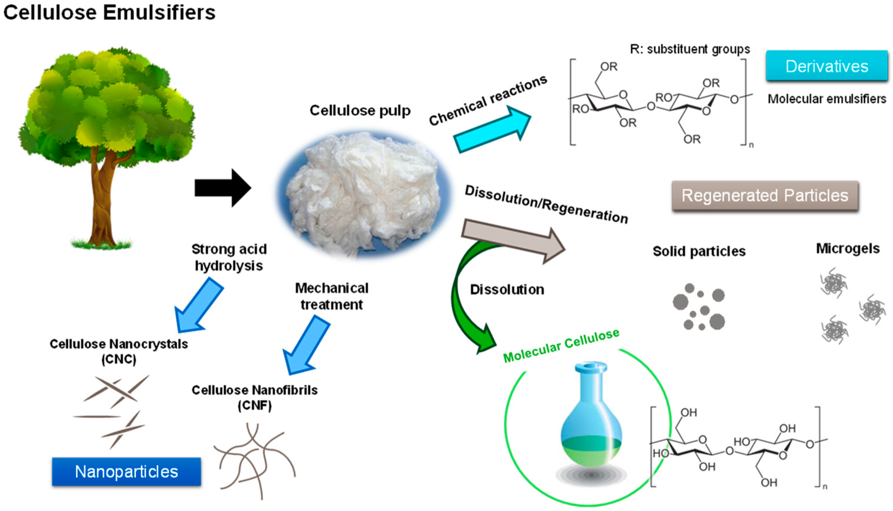 Molecules 28 04216 g006