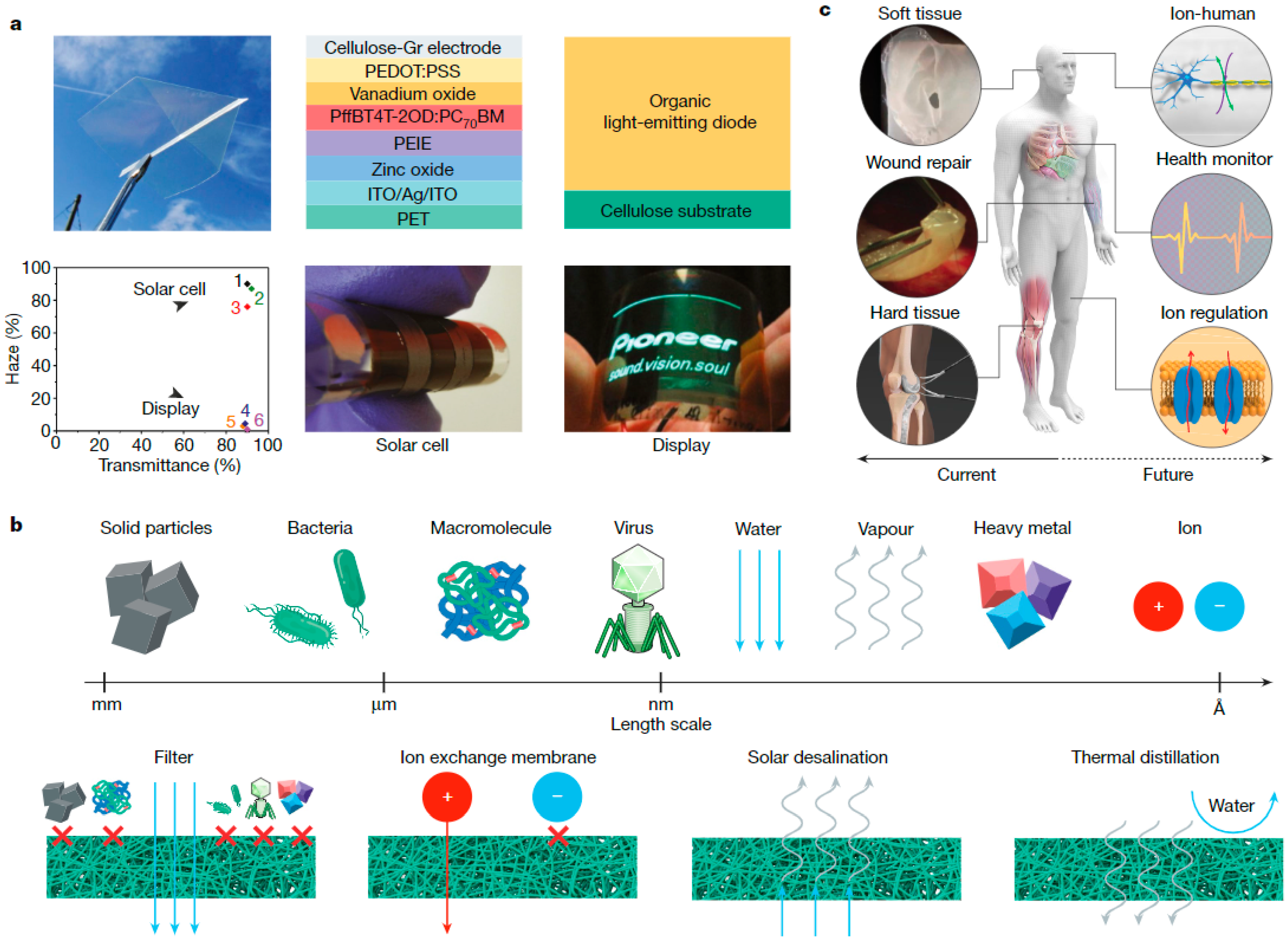 Molecules 28 04216 g008