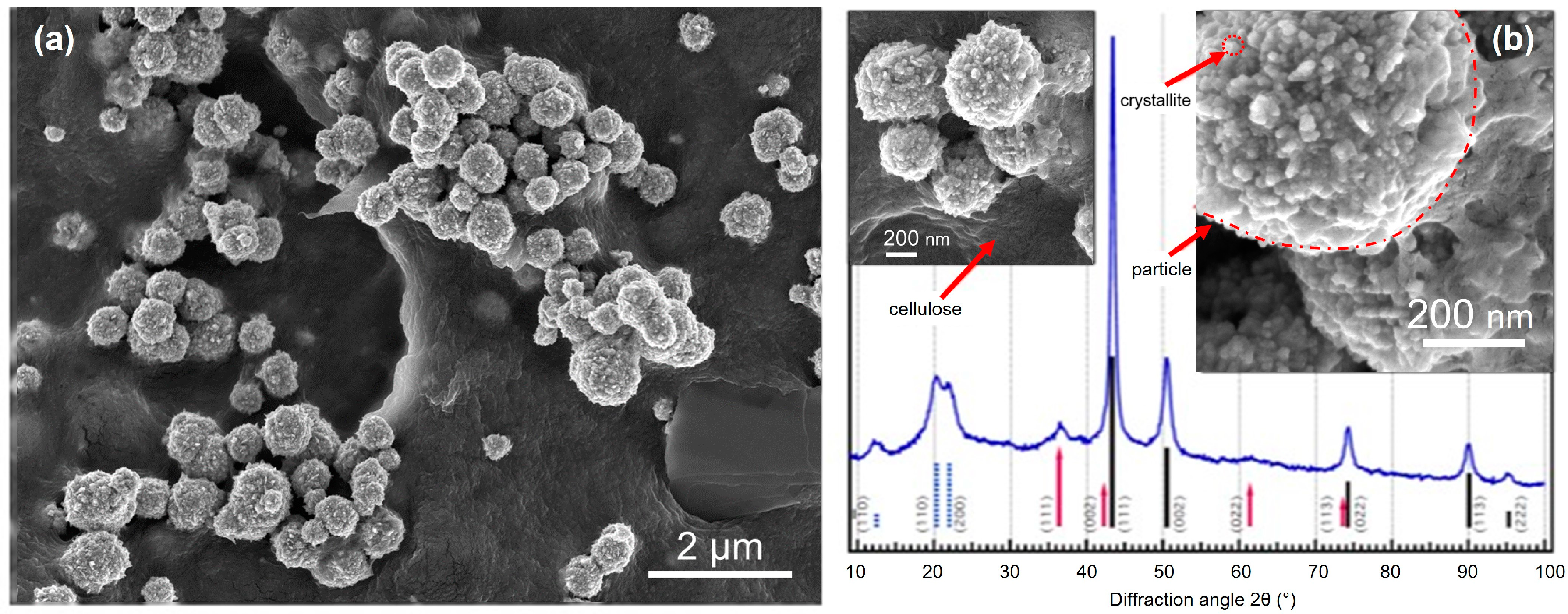 Molecules 28 04216 g010