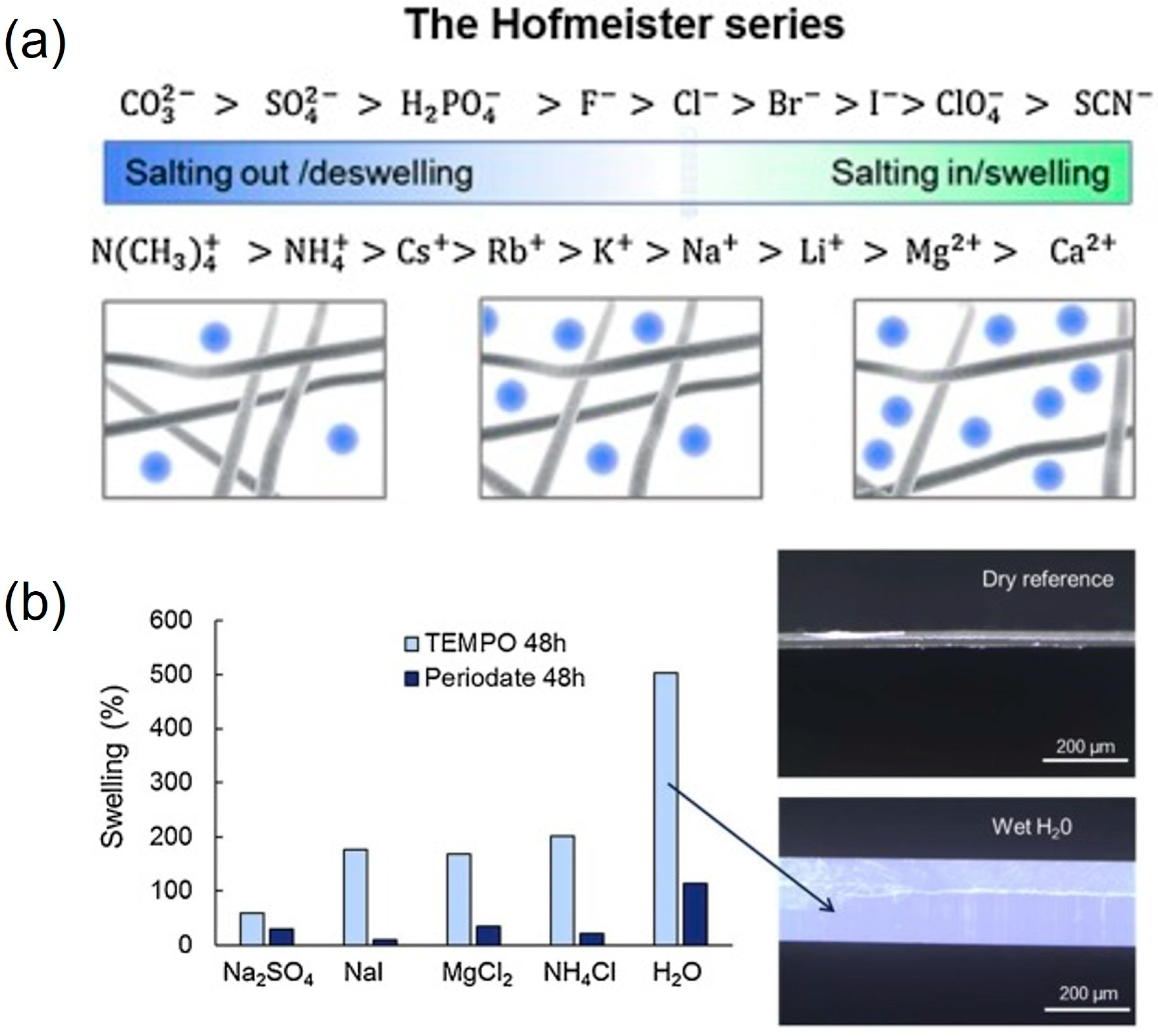 Molecules 28 04216 g012