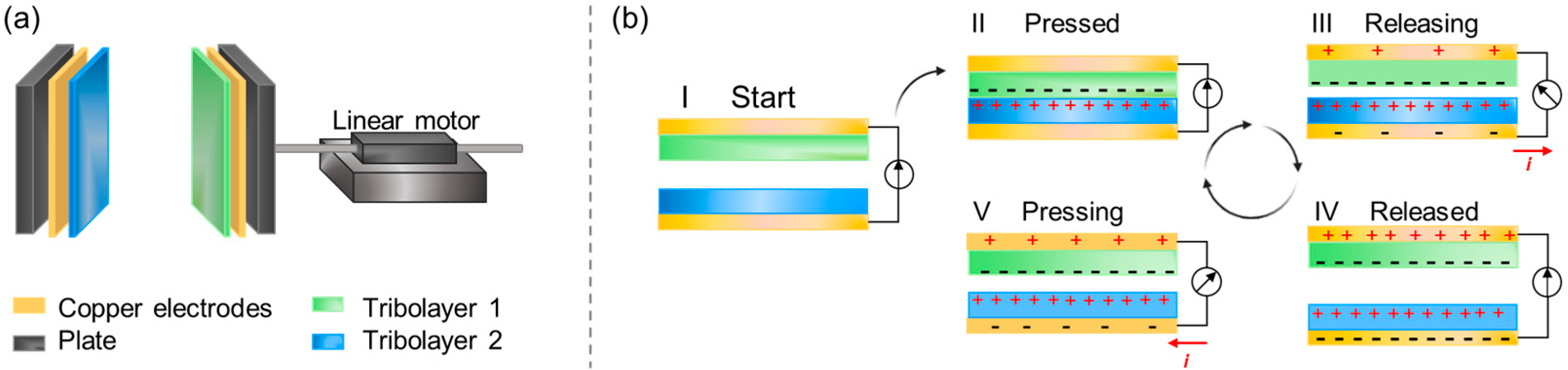 Molecules 28 04216 g013