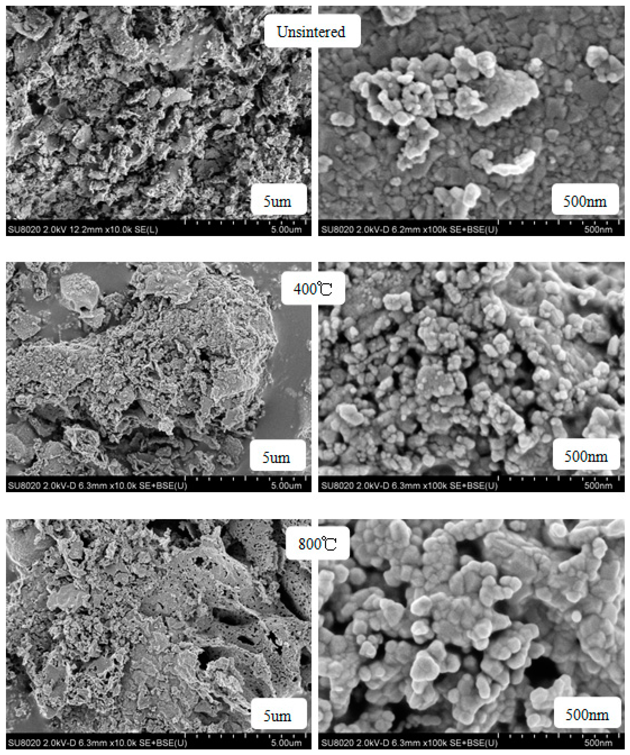 Molecules 28 04226 g009