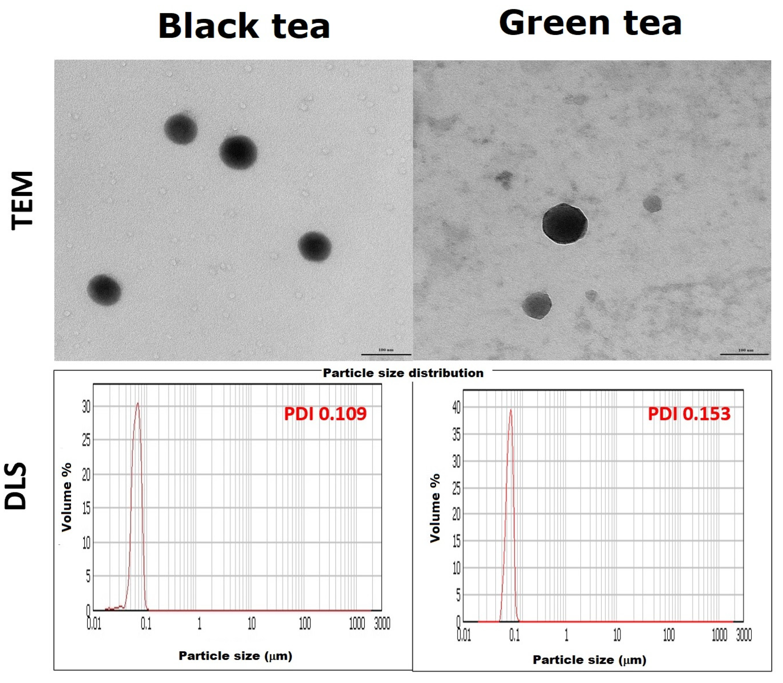 Molecules 28 05897 g008