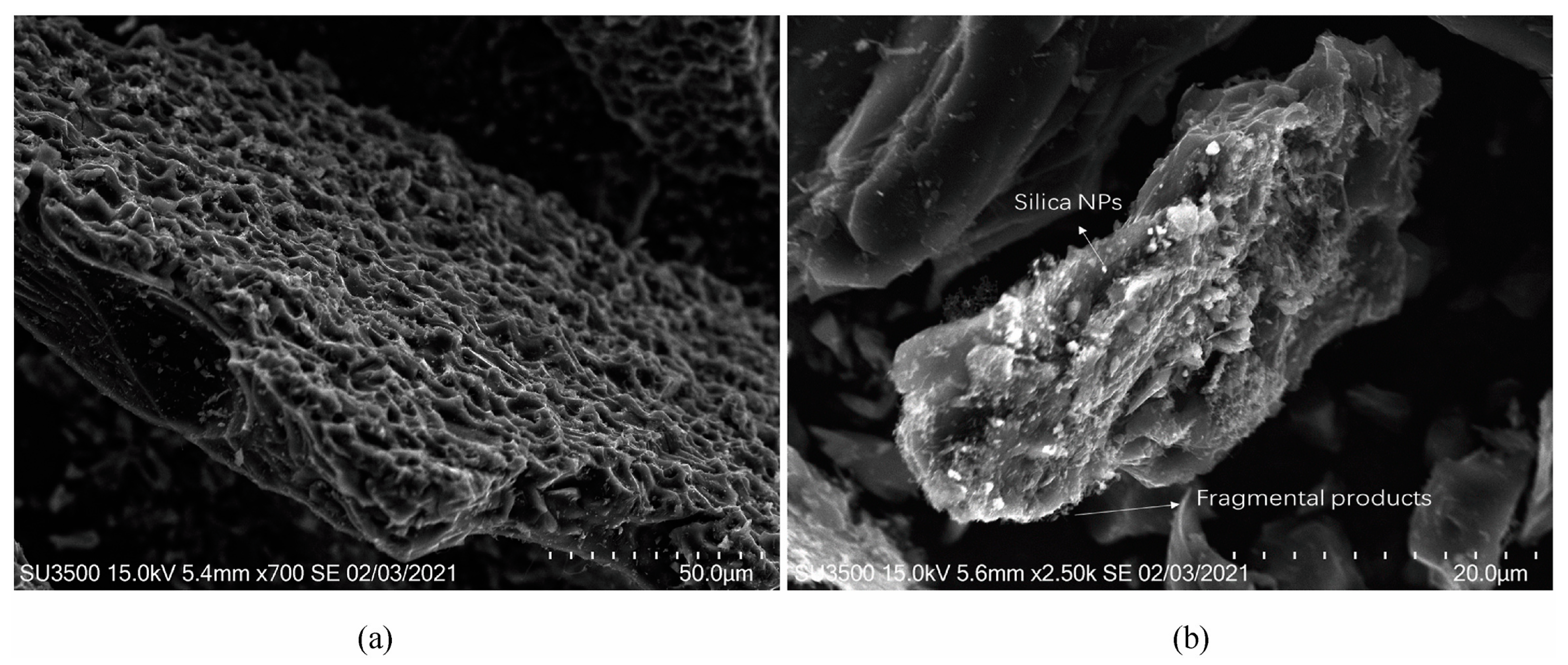 Molecules 28 06154 g011