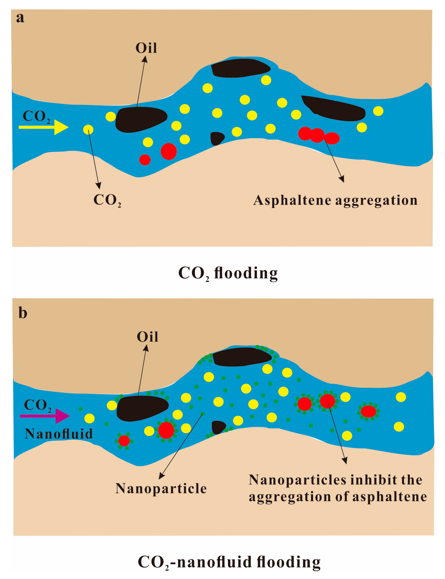 Molecules 28 06154 g012