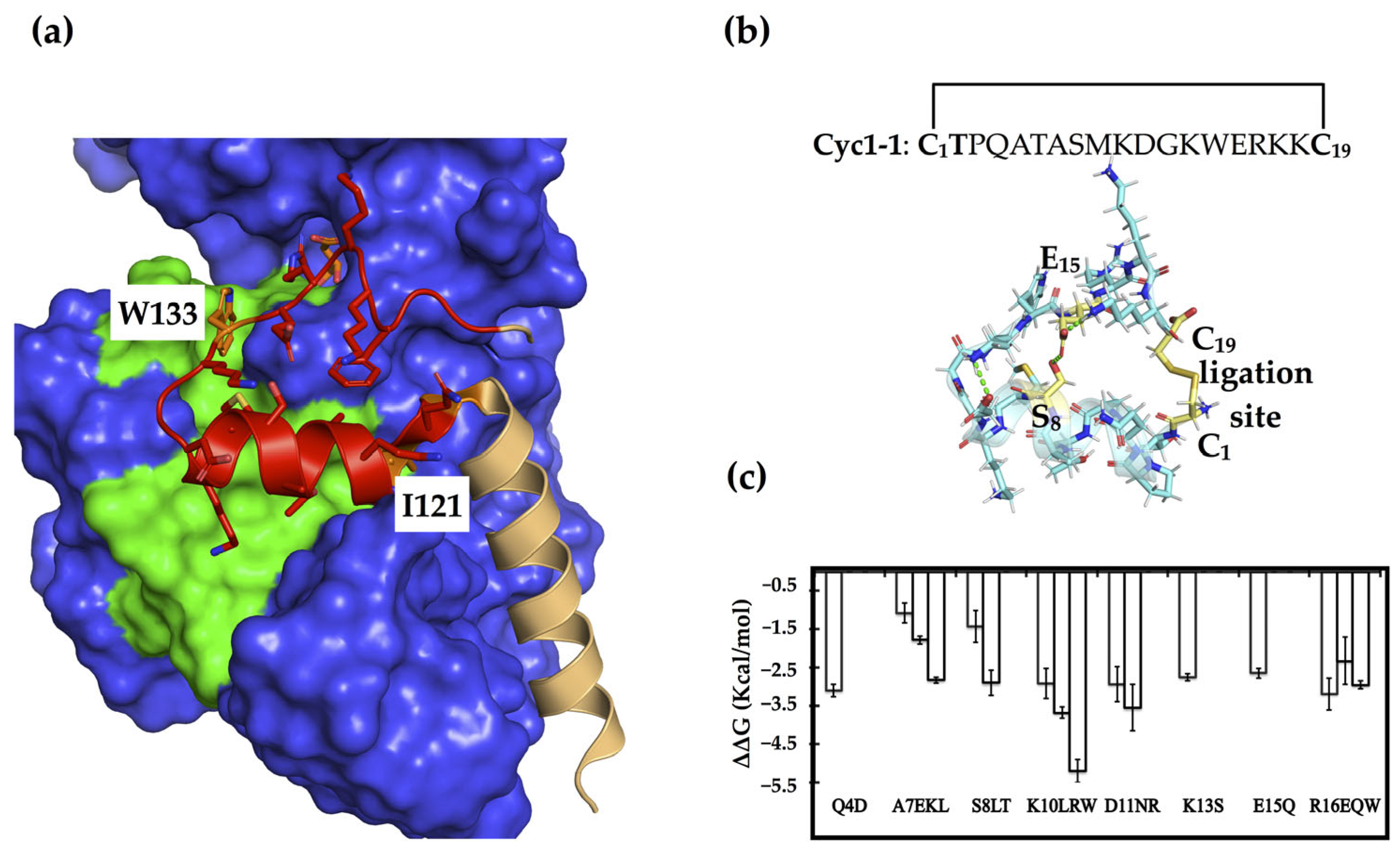 Molecules 28 06430 g001