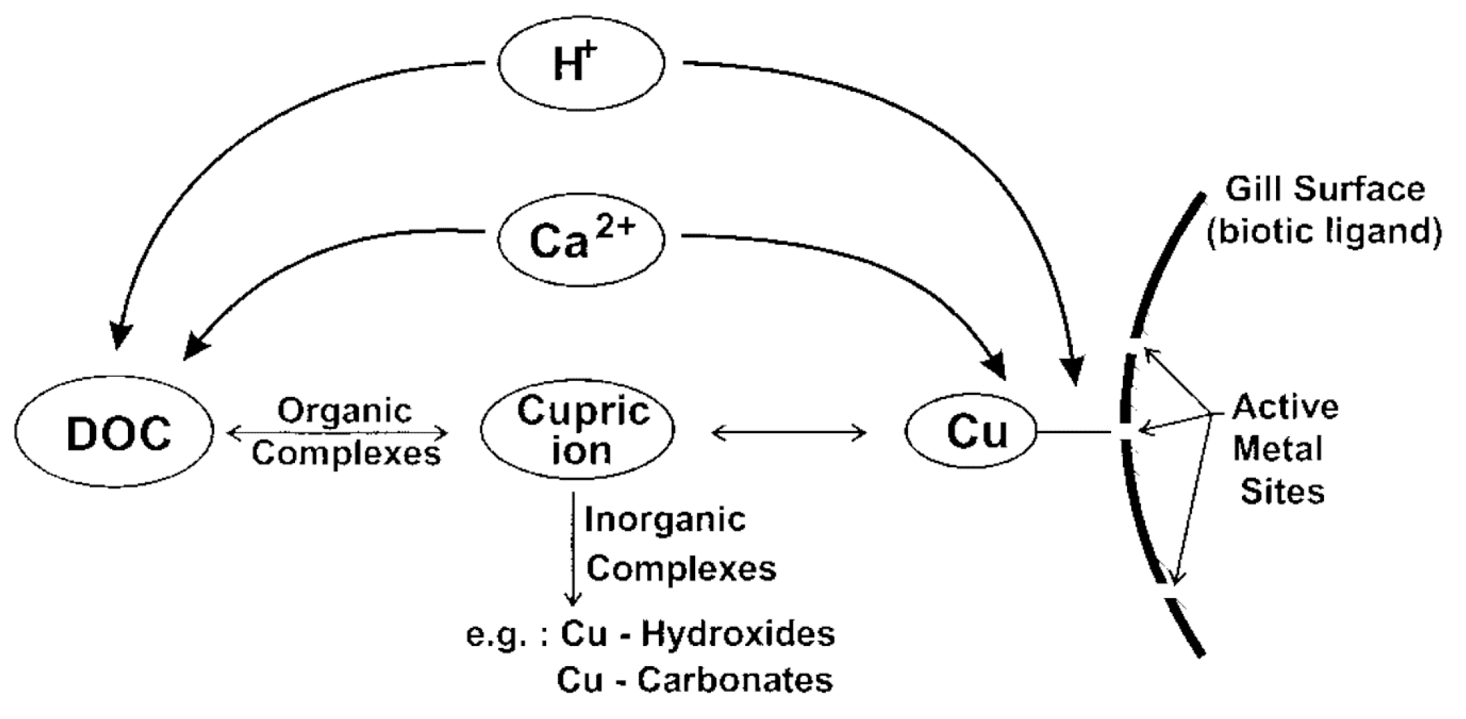 Molecules 28 07097 g002