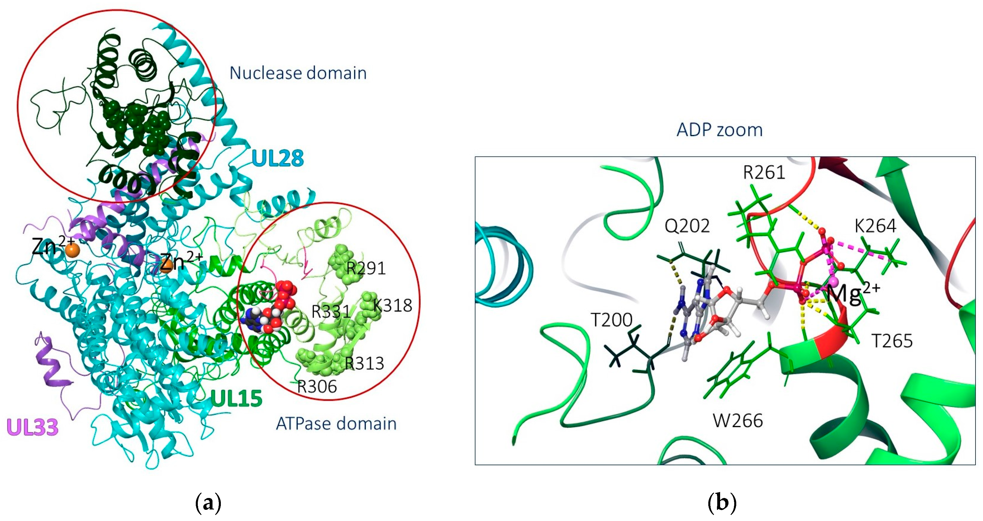 Molecules 28 07375 g004