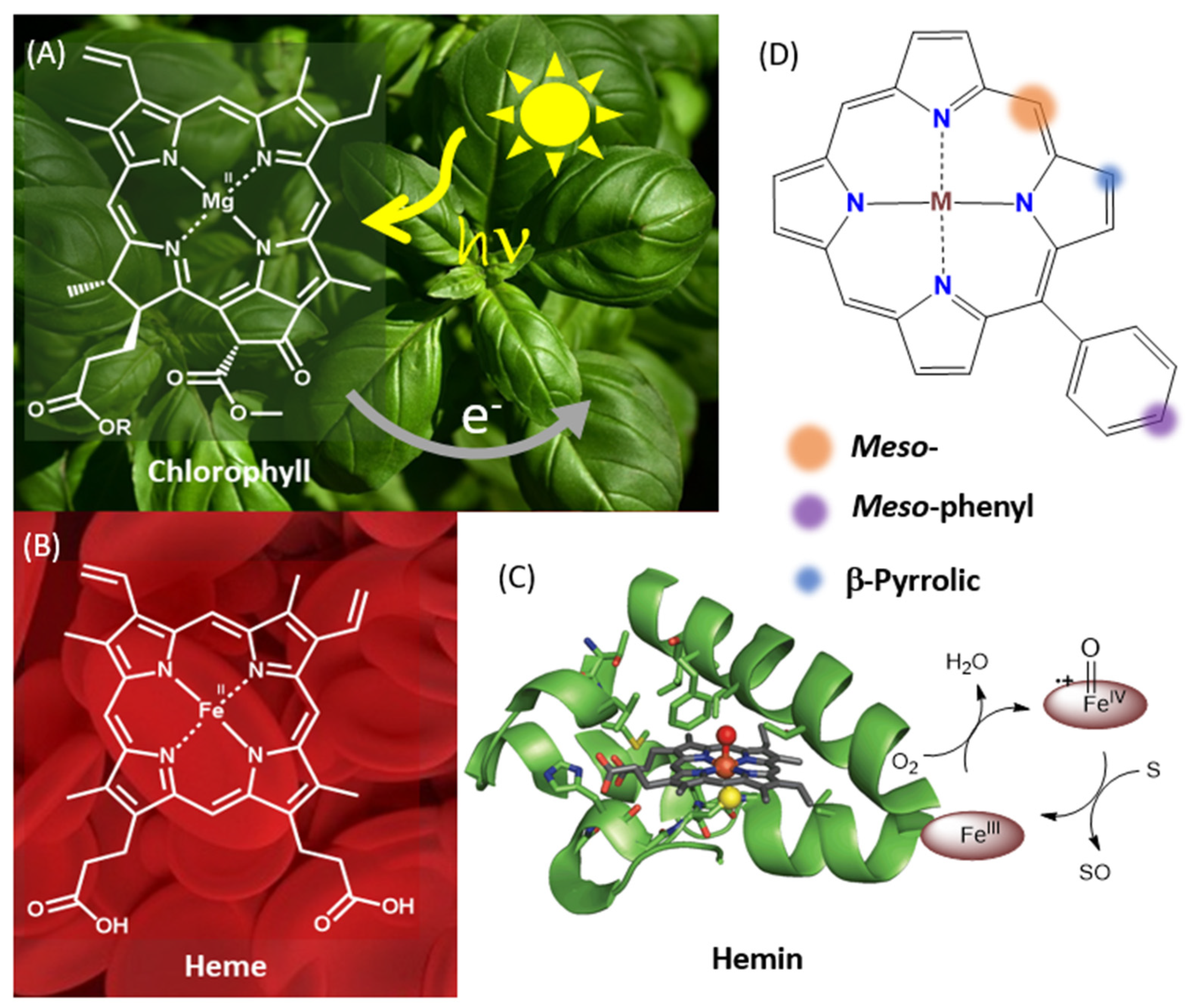 Molecules 28 07438 g001