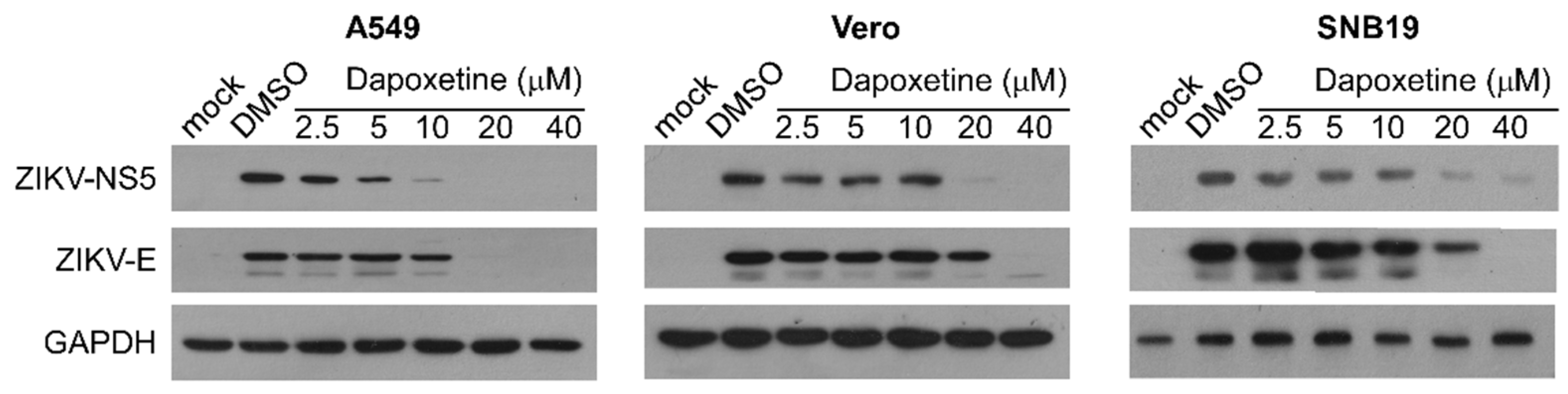 Molecules 28 08142 g004