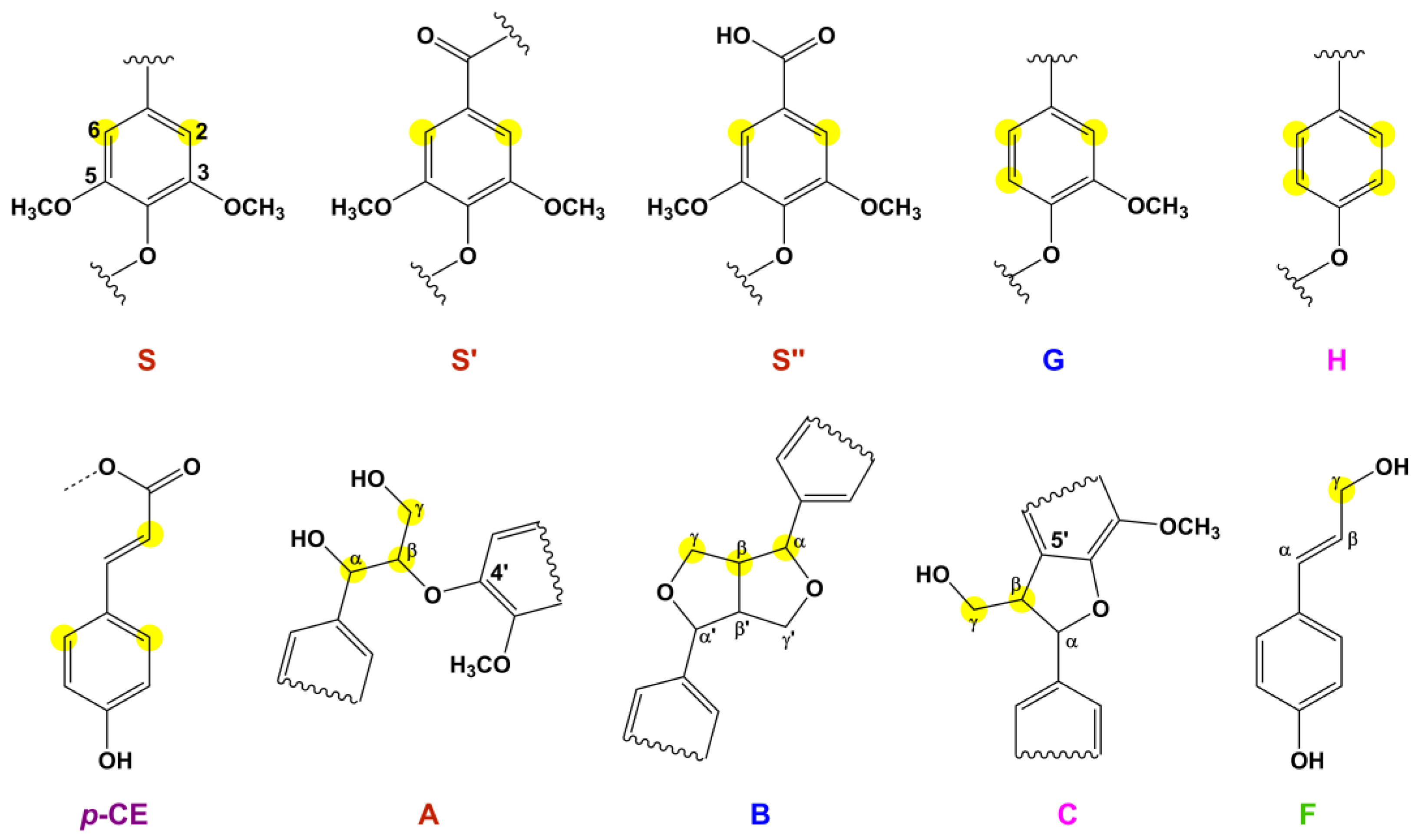 Molecules 29 00183 g006