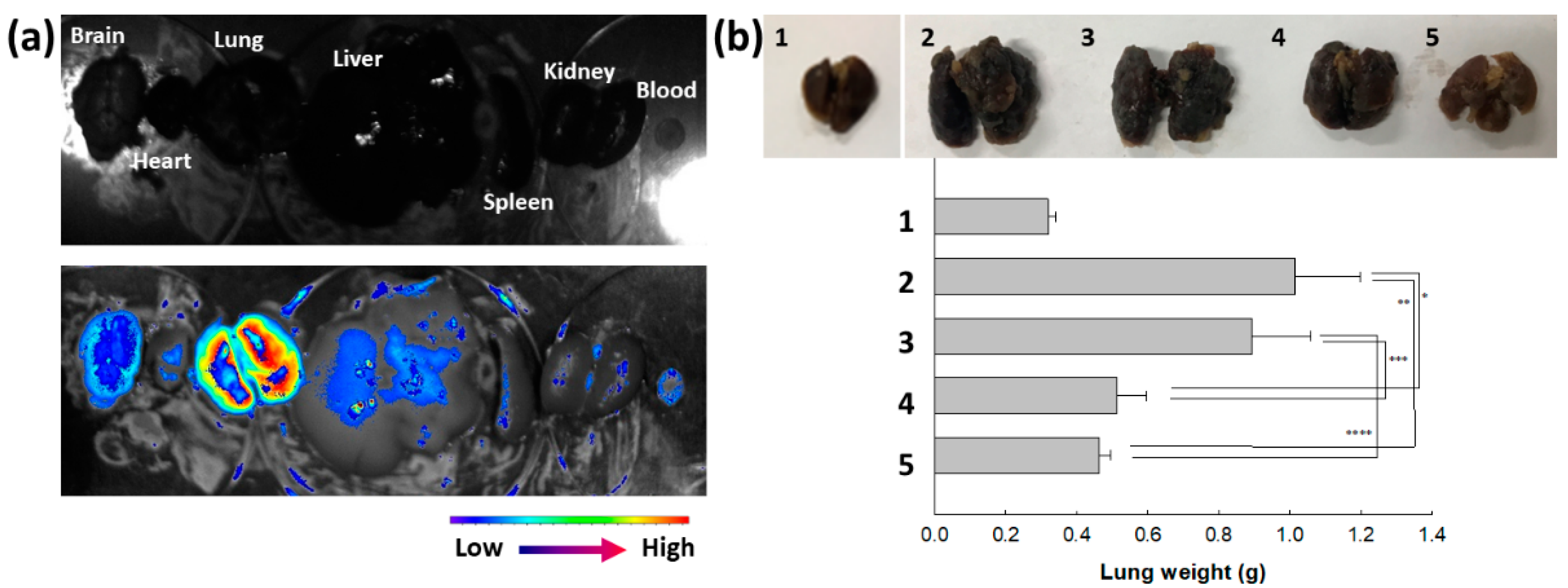 Molecules 29 00529 g008