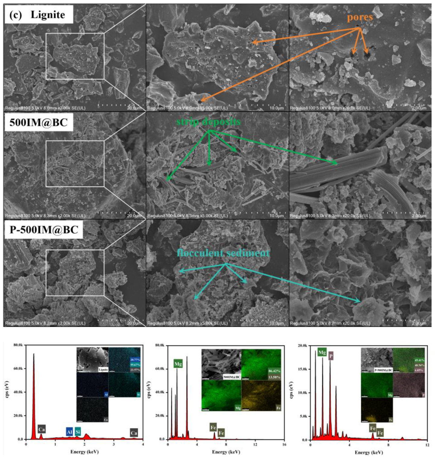Molecules 29 01252 g003b