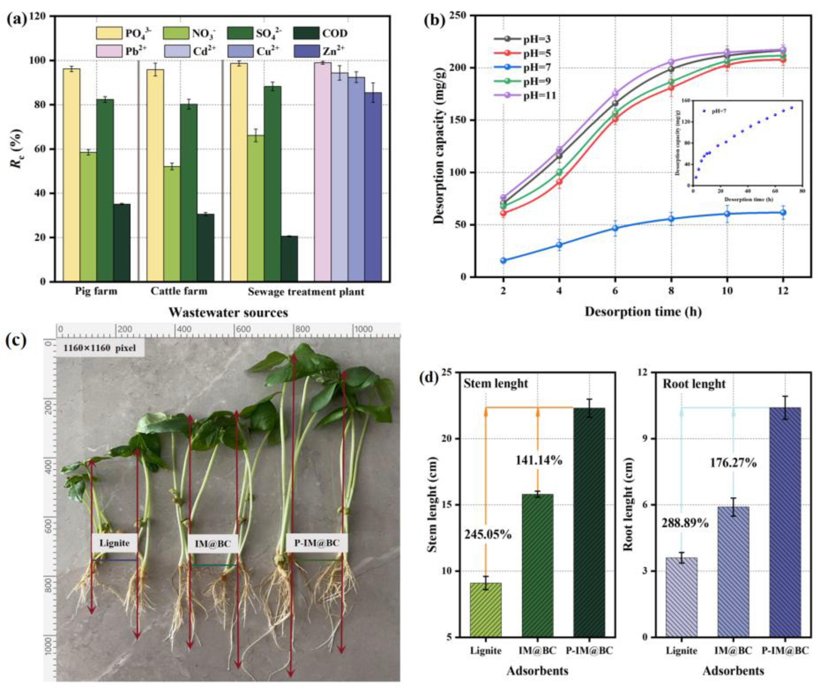 Molecules 29 01252 g007