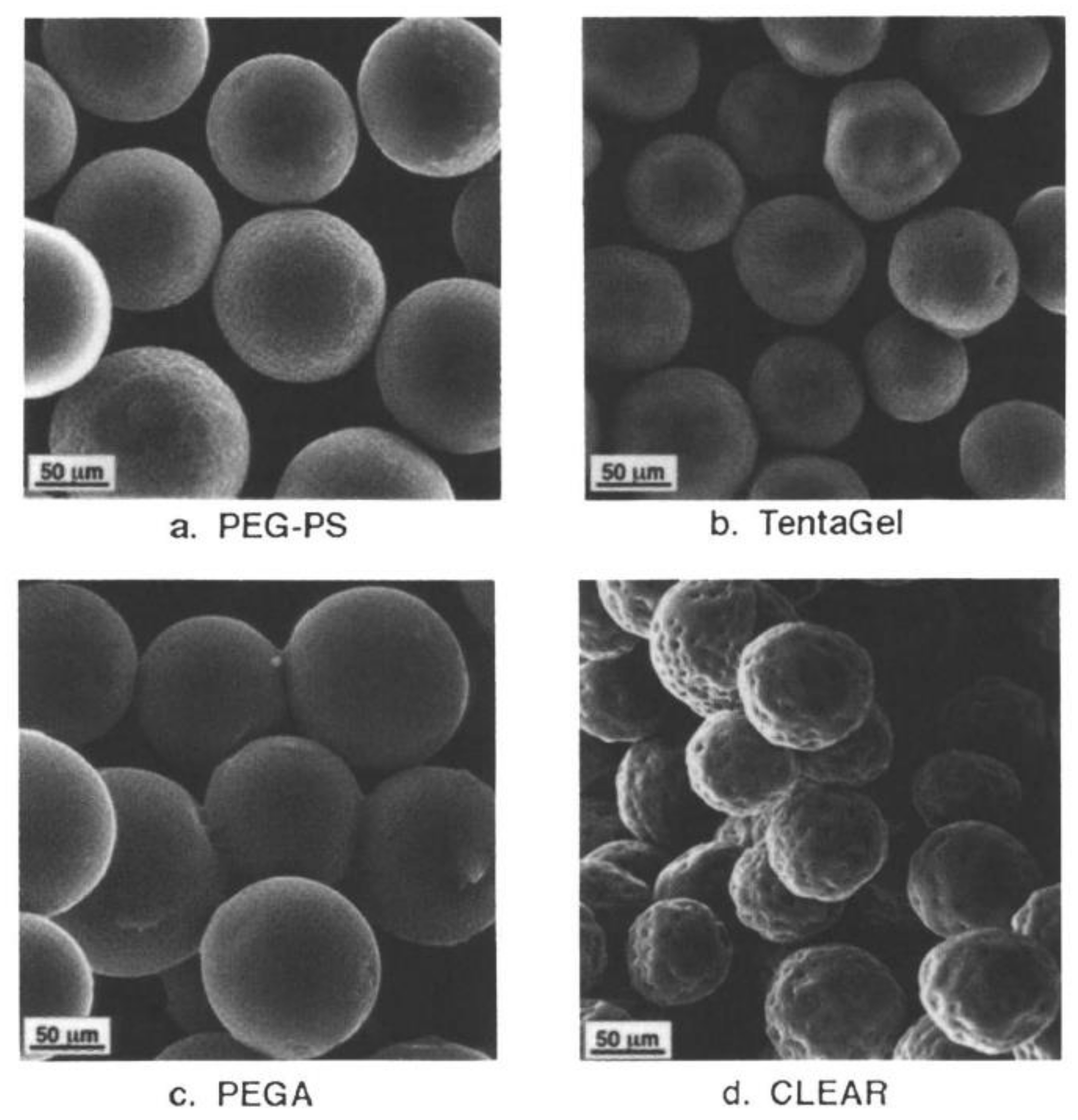 Molecules 29 01317 g005