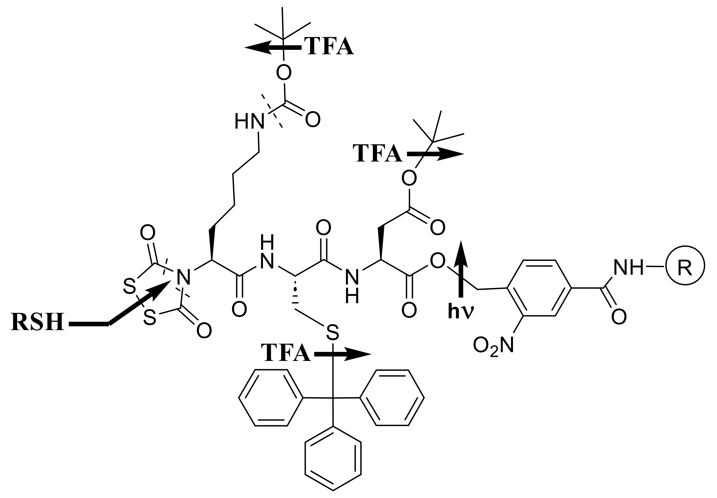 Molecules 29 01317 sch002