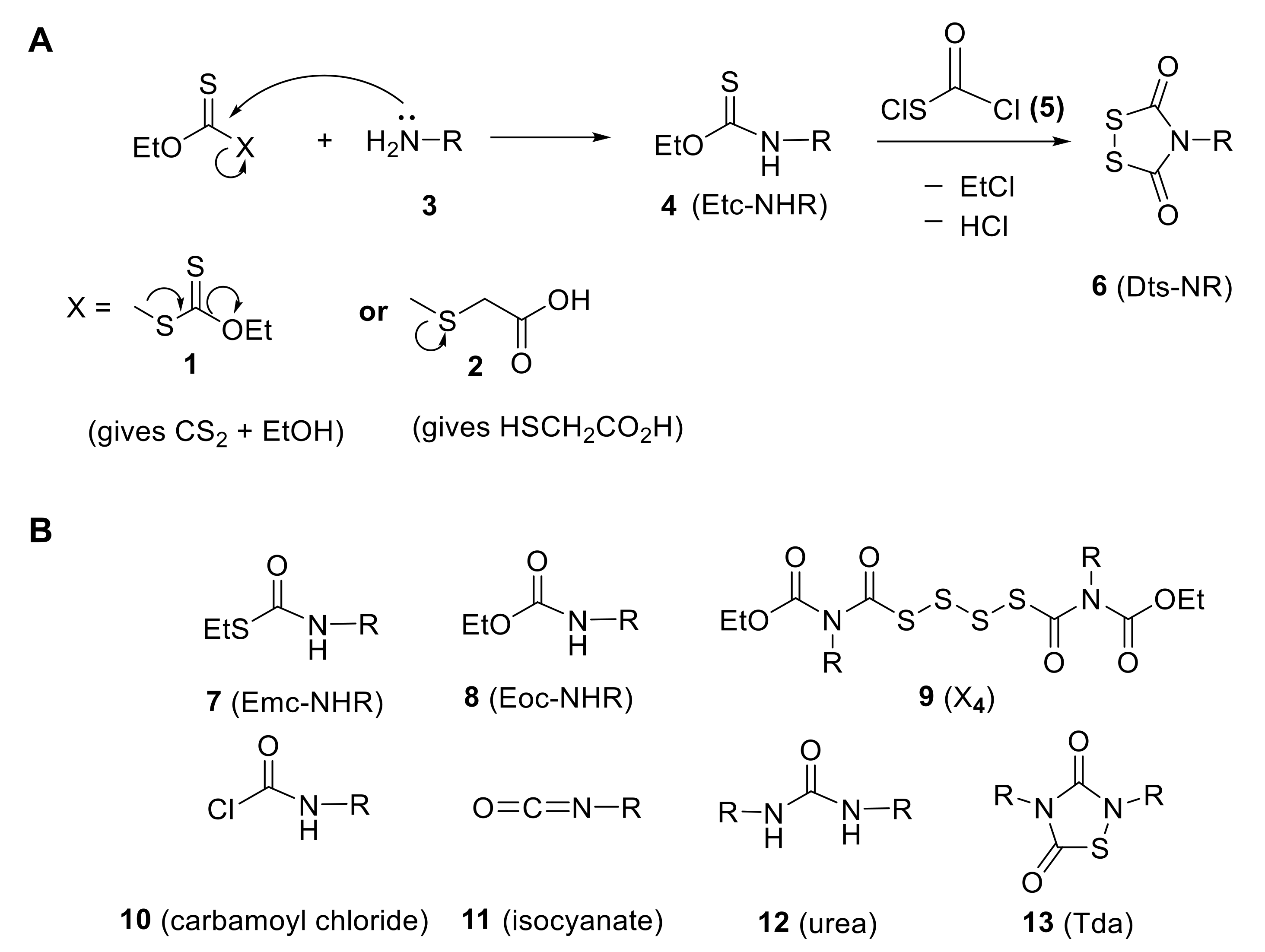 Molecules 29 01317 sch004