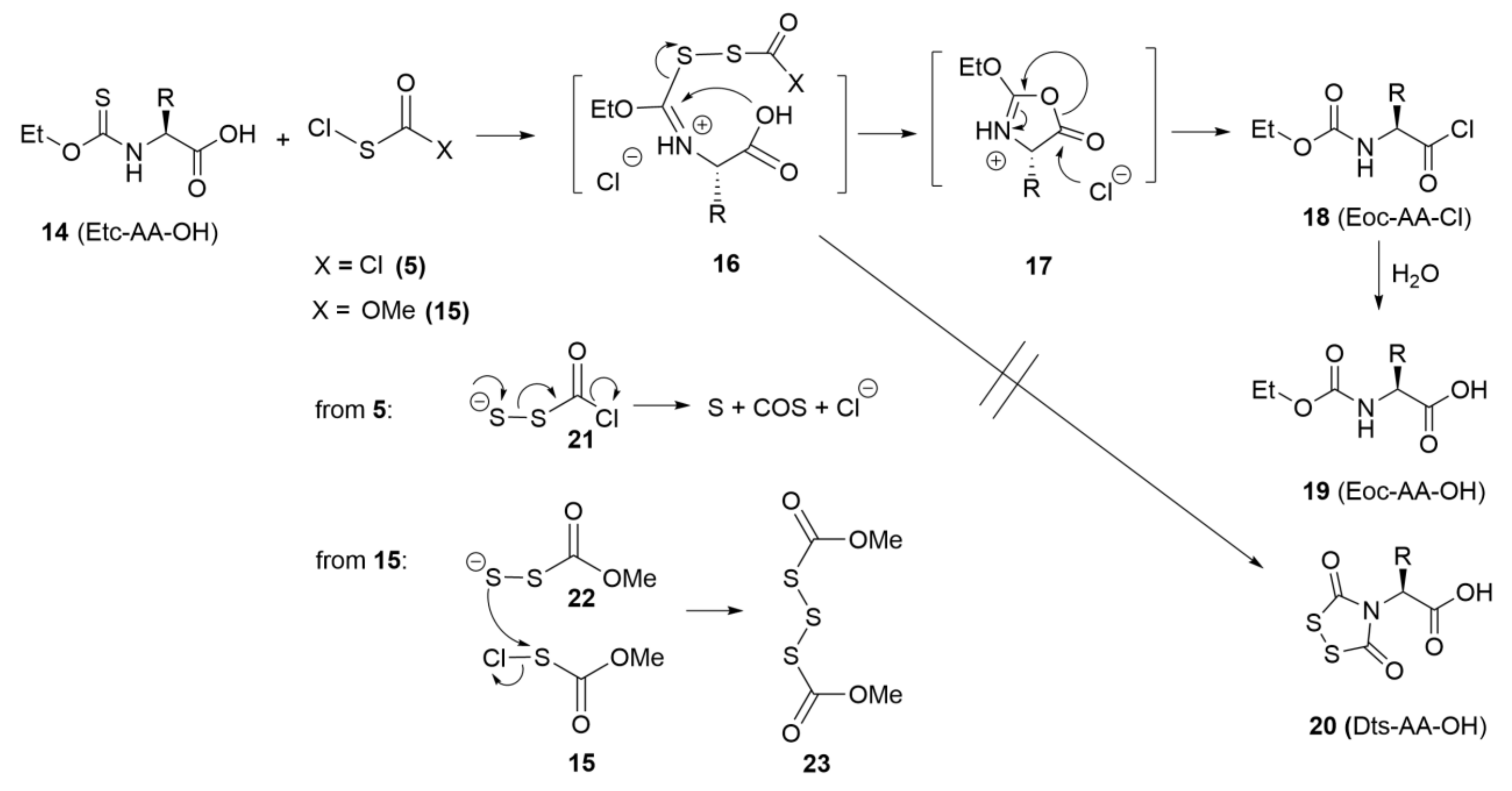 Molecules 29 01317 sch005
