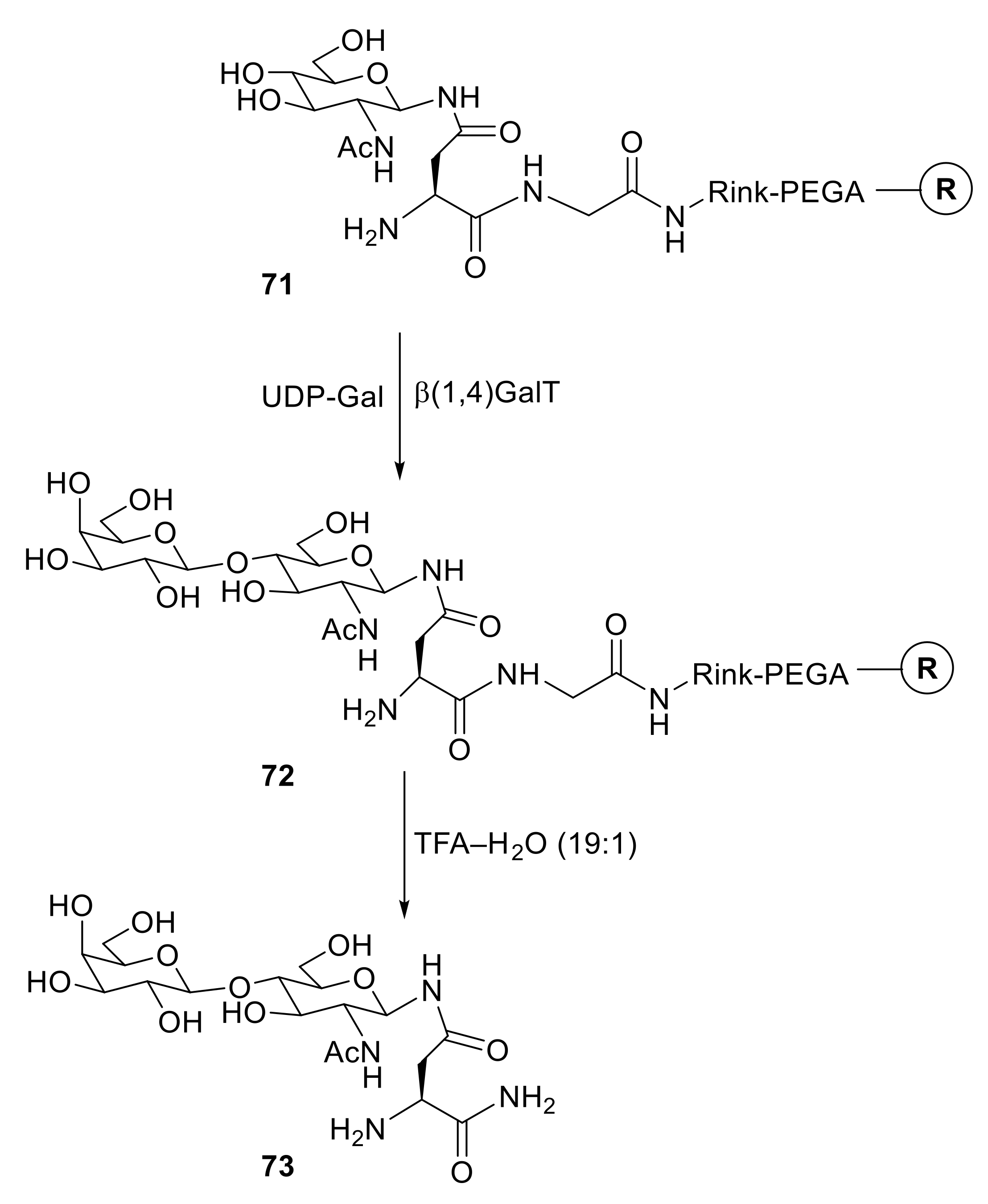 Molecules 29 01317 sch013