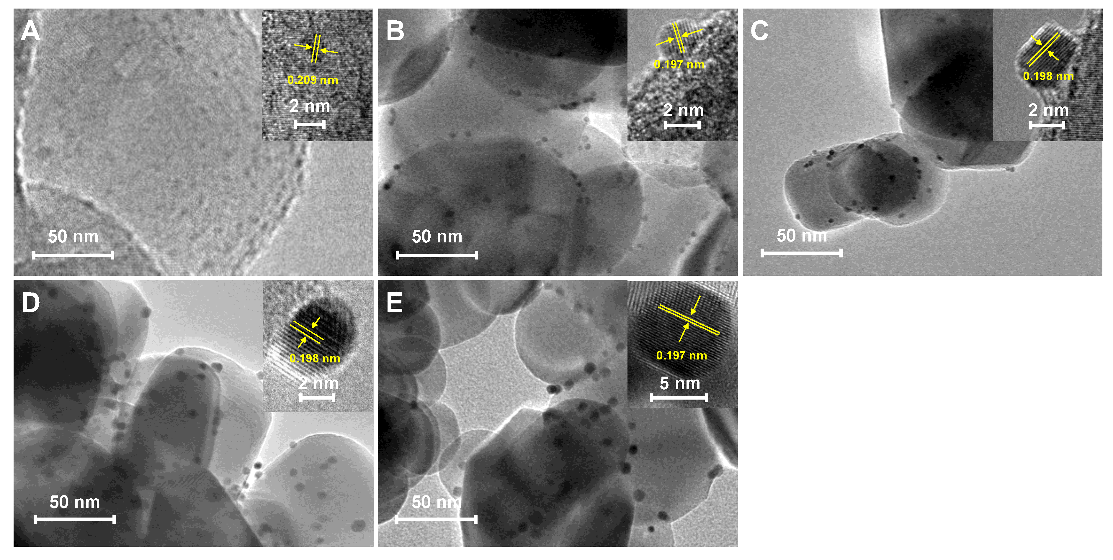 Molecules 29 01450 g001