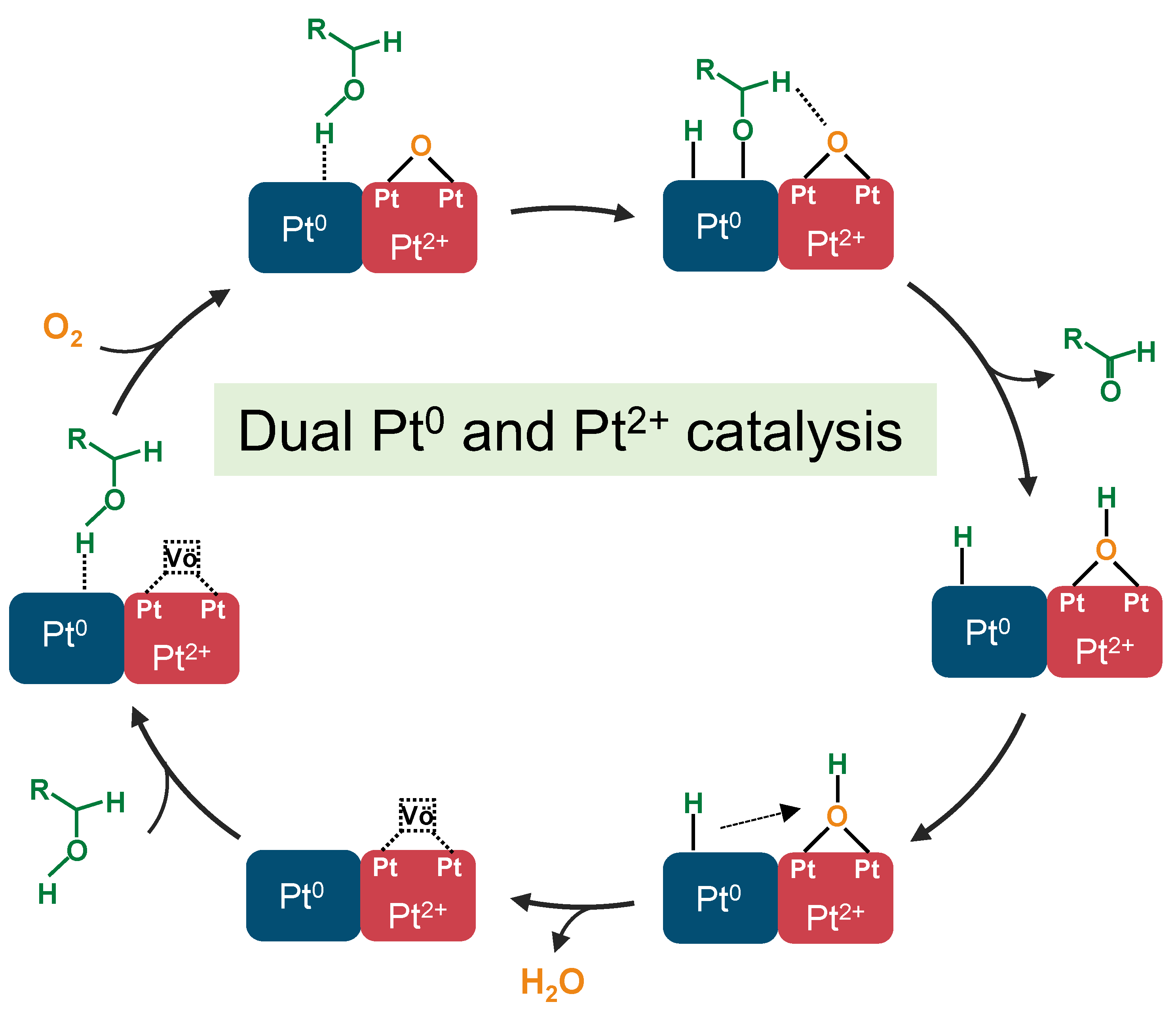 Molecules 29 01450 g010