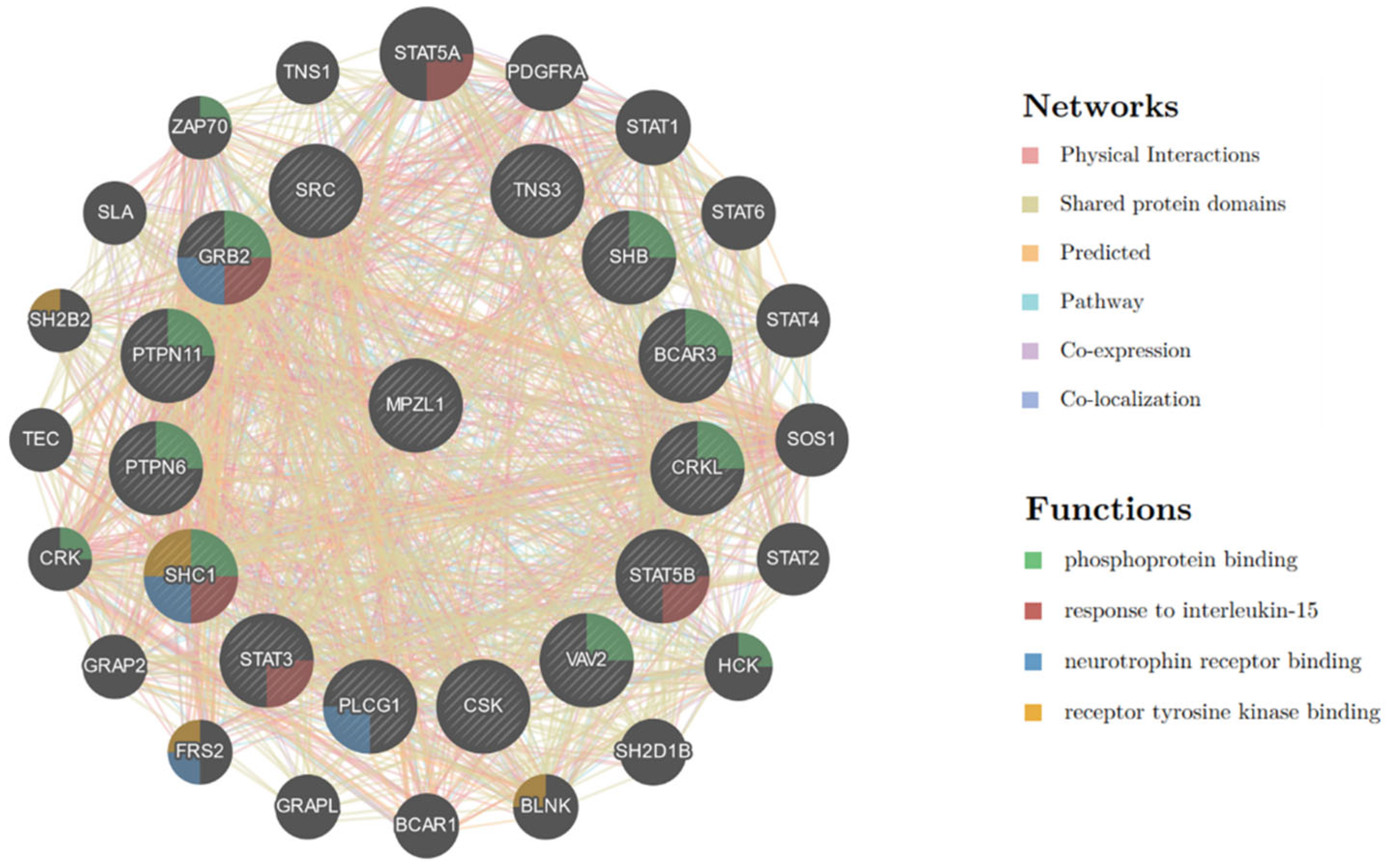 Molecules 29 01977 g006