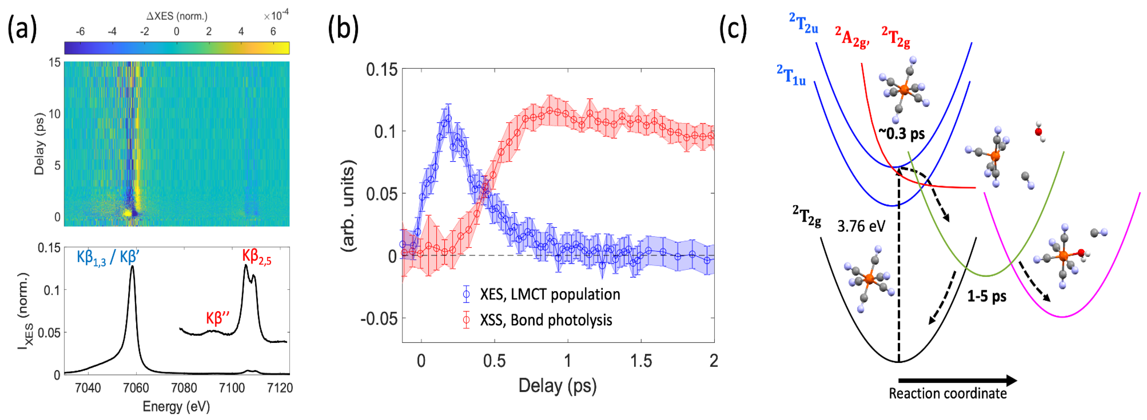 Molecules 29 02323 g006